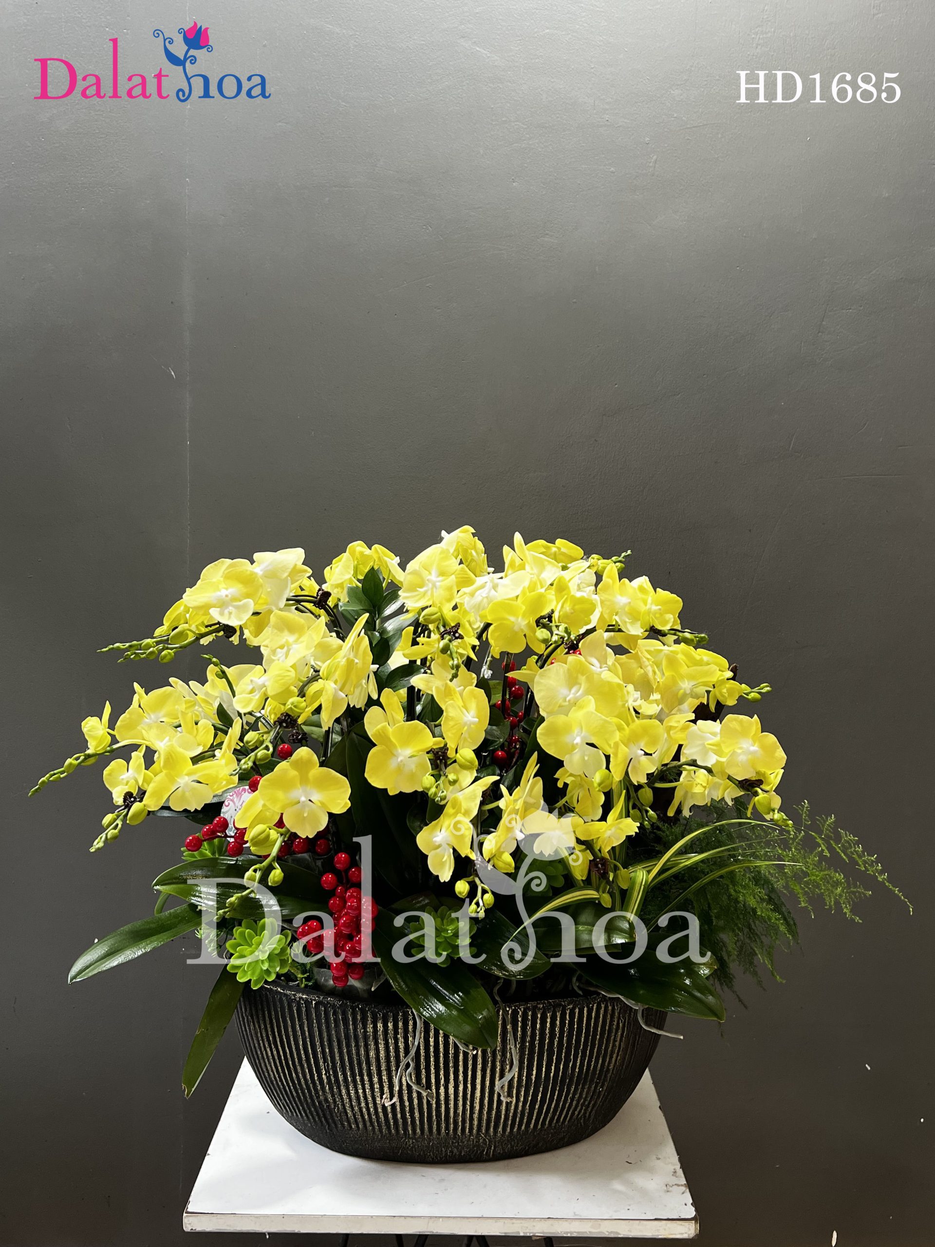 Hoa Lan Hồ Điệp Của Trái Tim – Tình Yêu Và Cảm Xúc