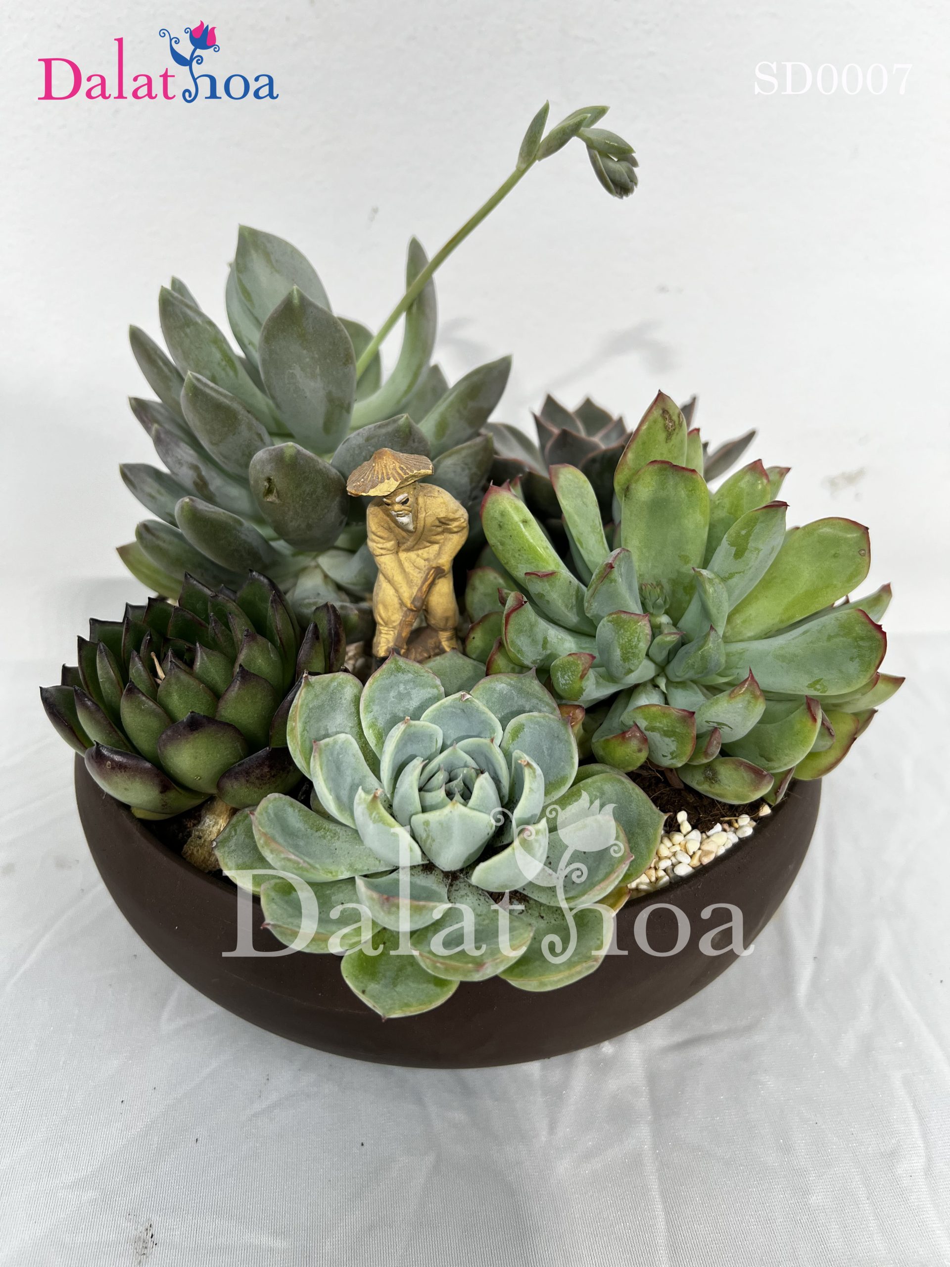 Những Câu Chuyện Cảm Động Trong Ngày 8/3