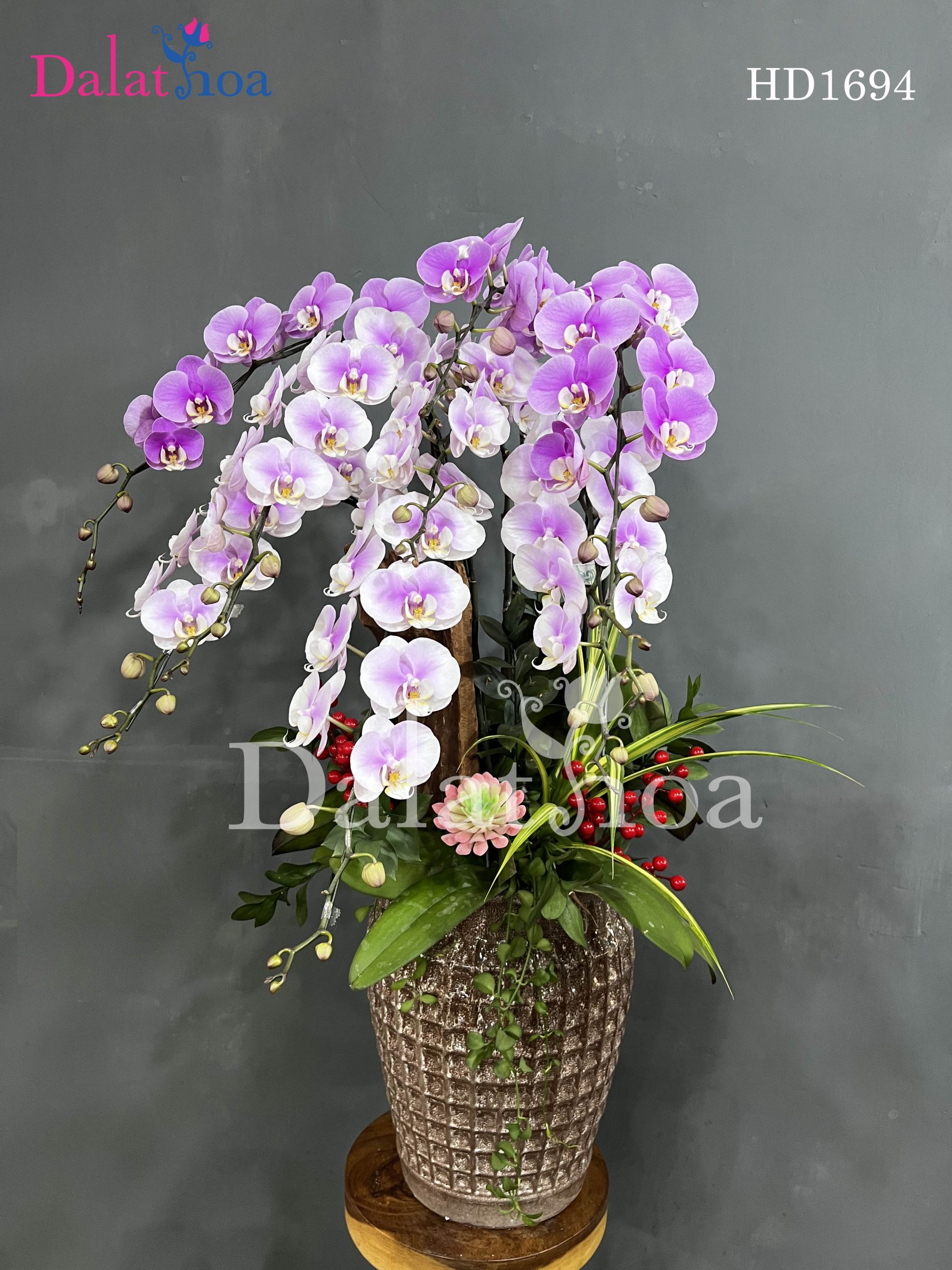 Hoa Lan Hồ Điệp Cũng Biết Khóc