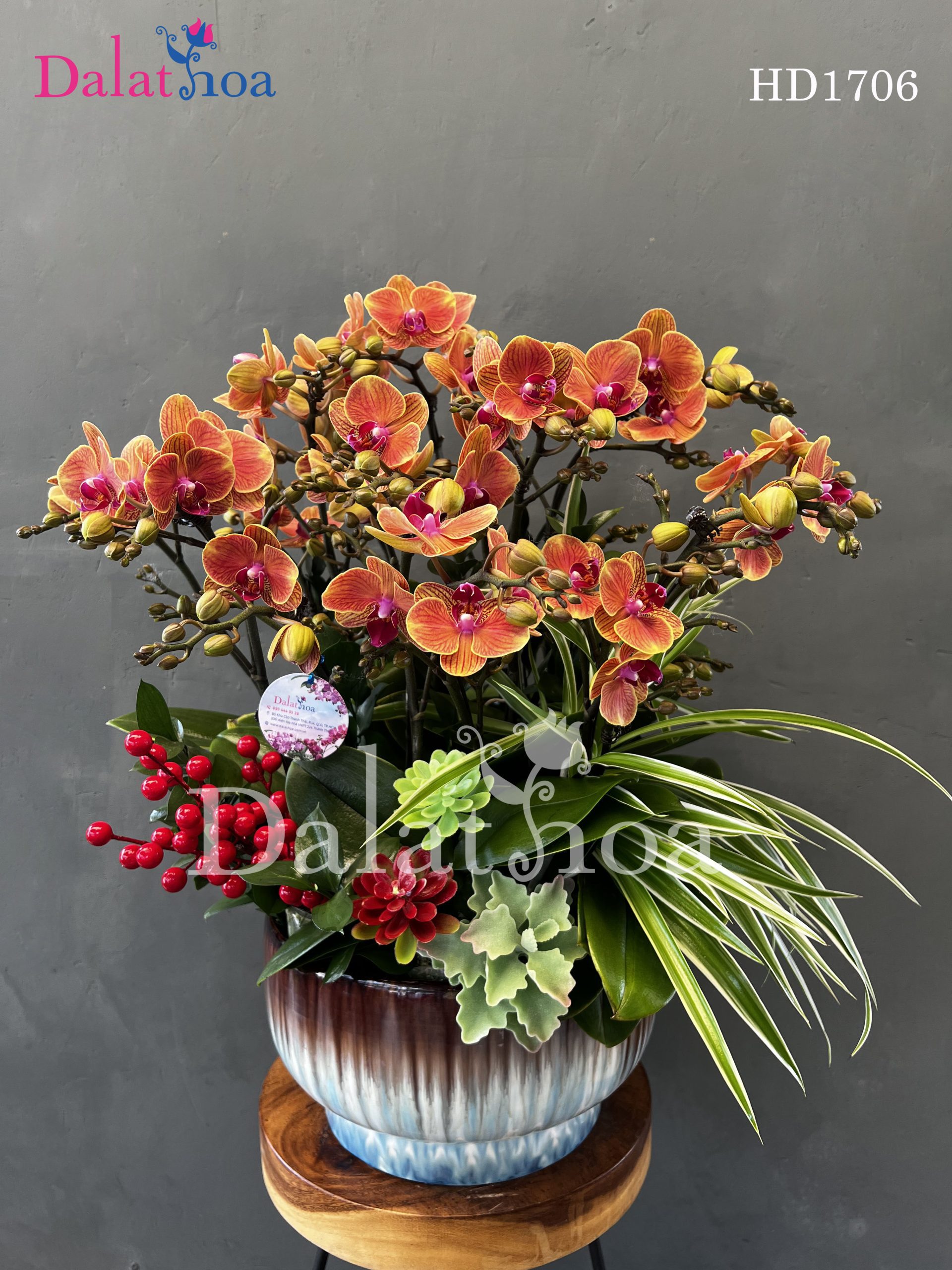 Hoa Lan Hồ Điệp – Niềm Vui Mùa Hè Bên Trẻ Nhỏ