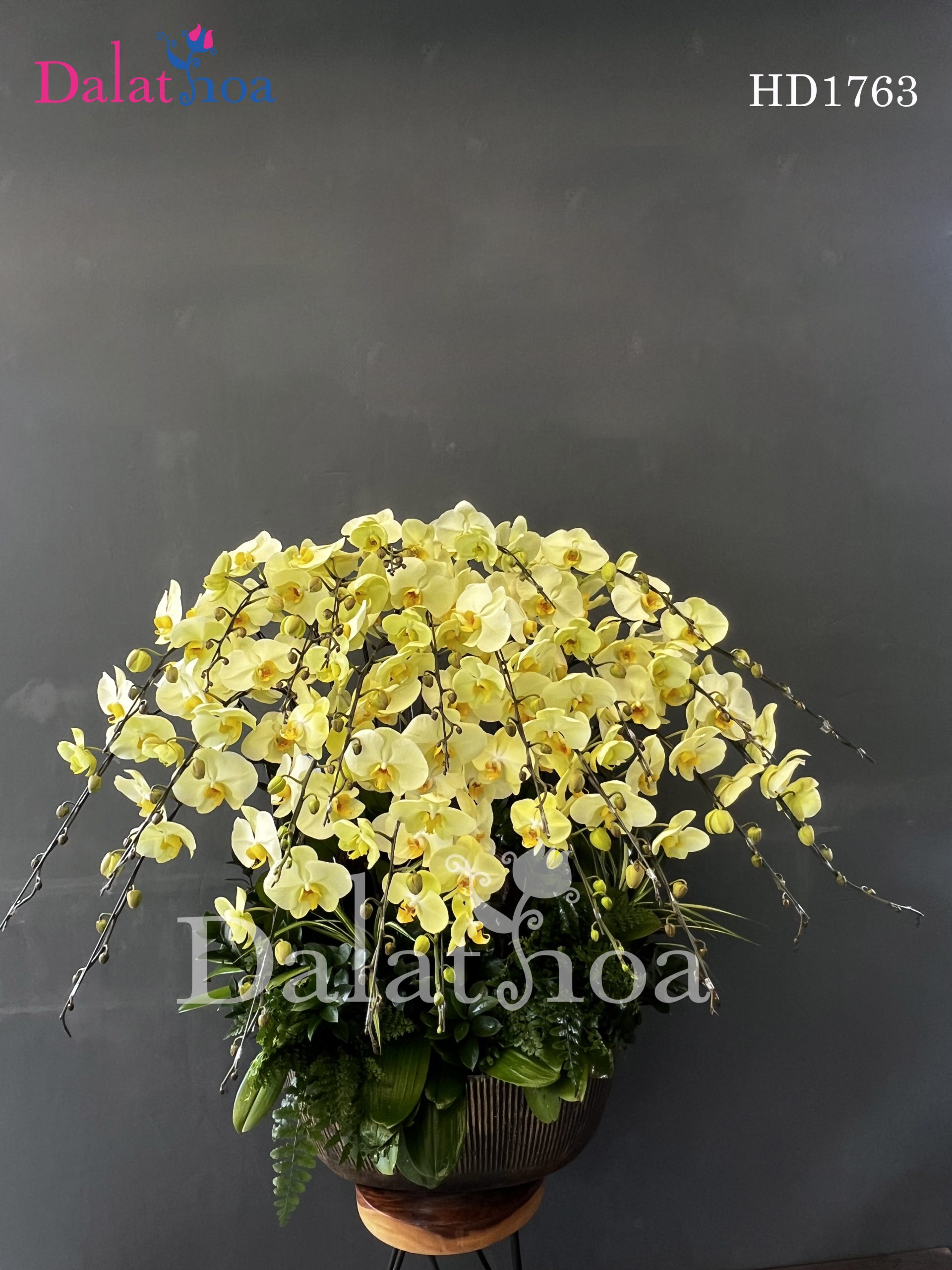 Hoa Lan Hồ Điệp Cũng Biết Khóc