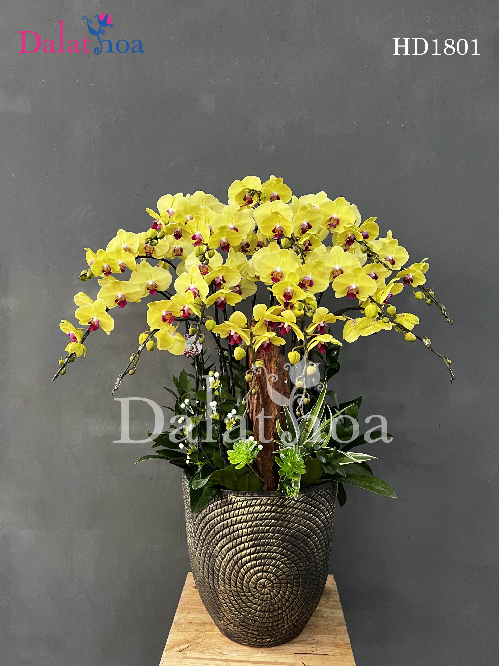 Hoa Lan Hồ Điệp Đi Xem Tarot – Lá Bài Nói Gì Đây?