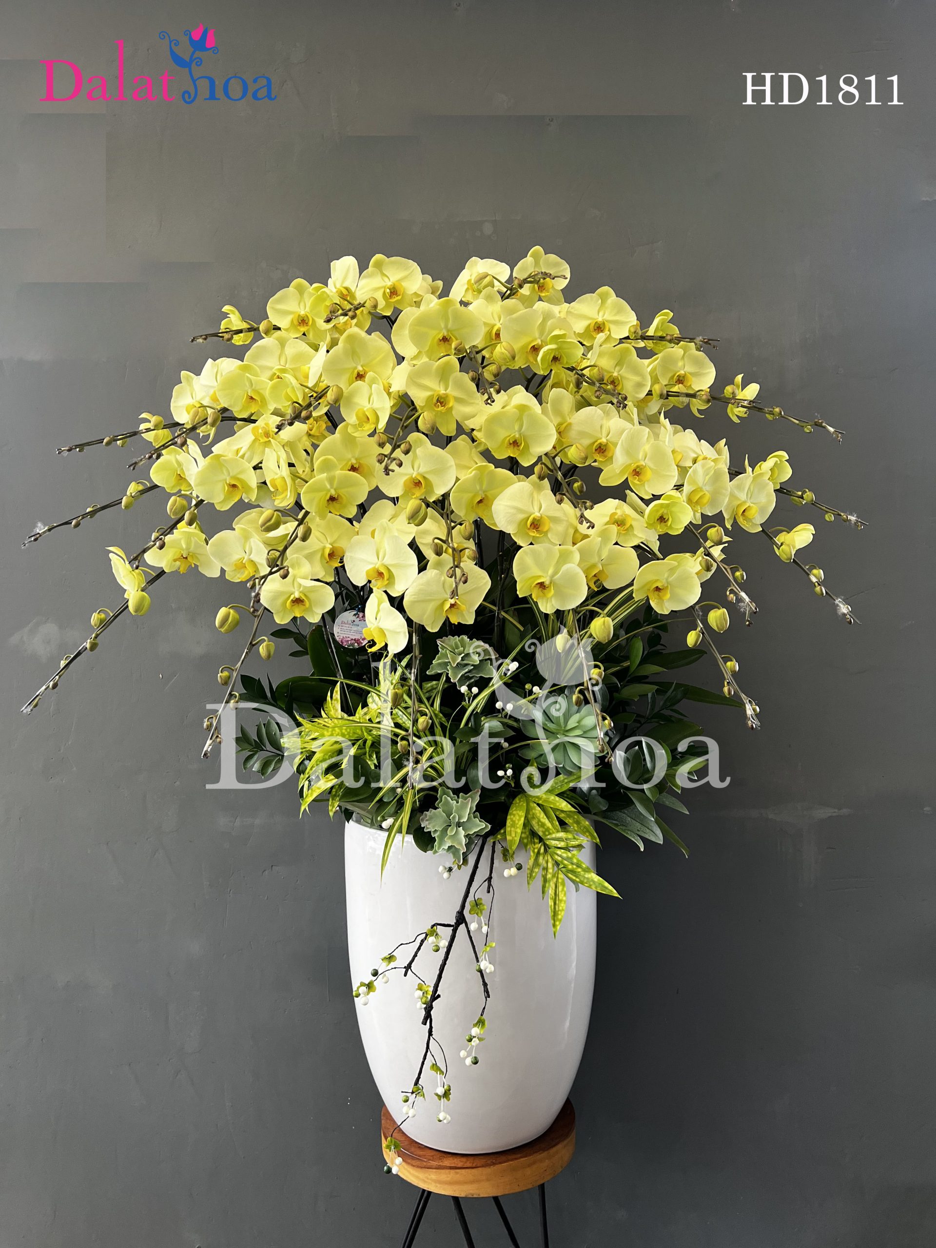 Ngày Cuối Tháng 5 – Lời Cảm Ơn Từ Trái Tim Của DaLatHoa