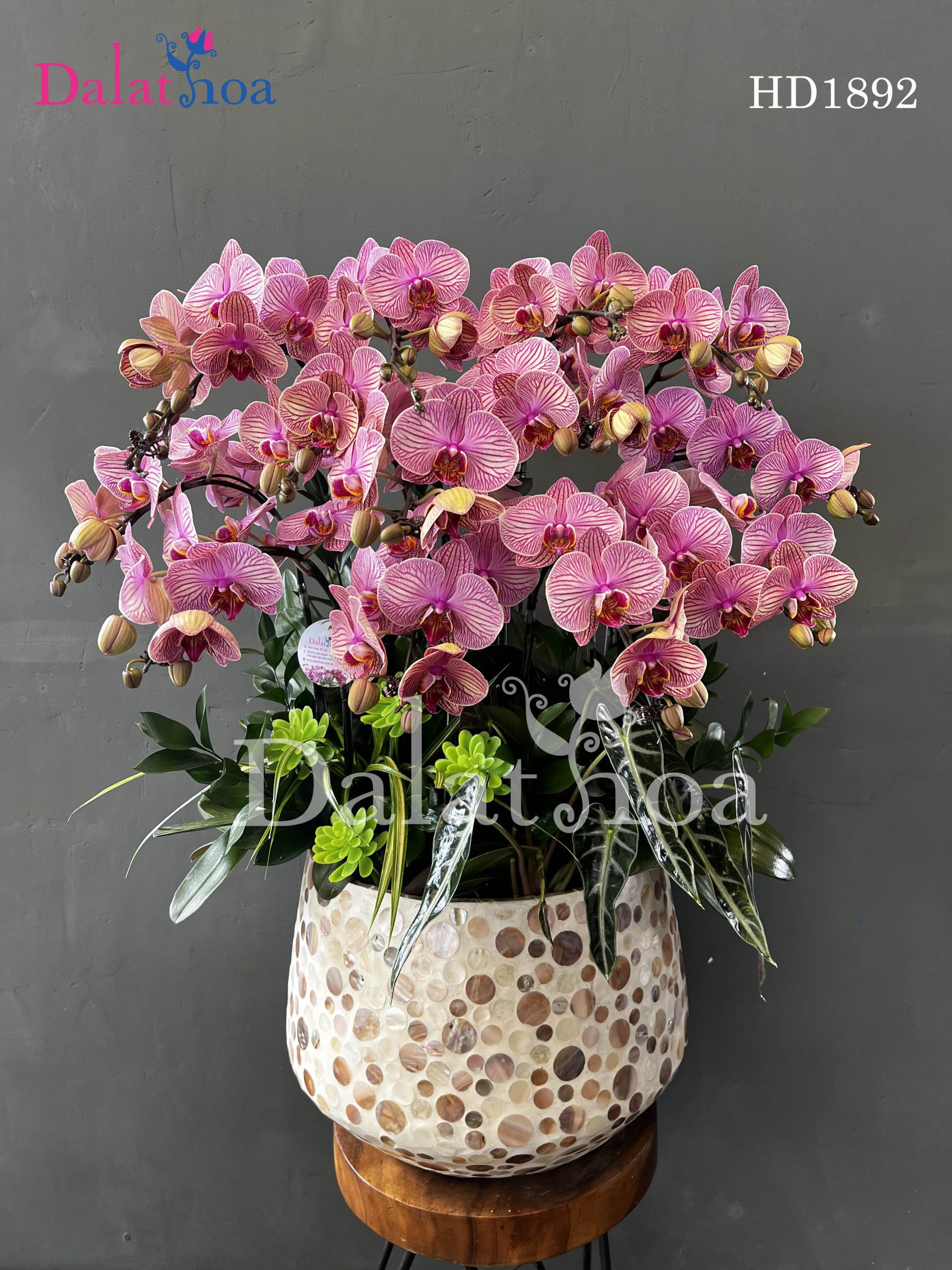 Sắc Hoa Và Lời Thì Thầm Của Thời Gian