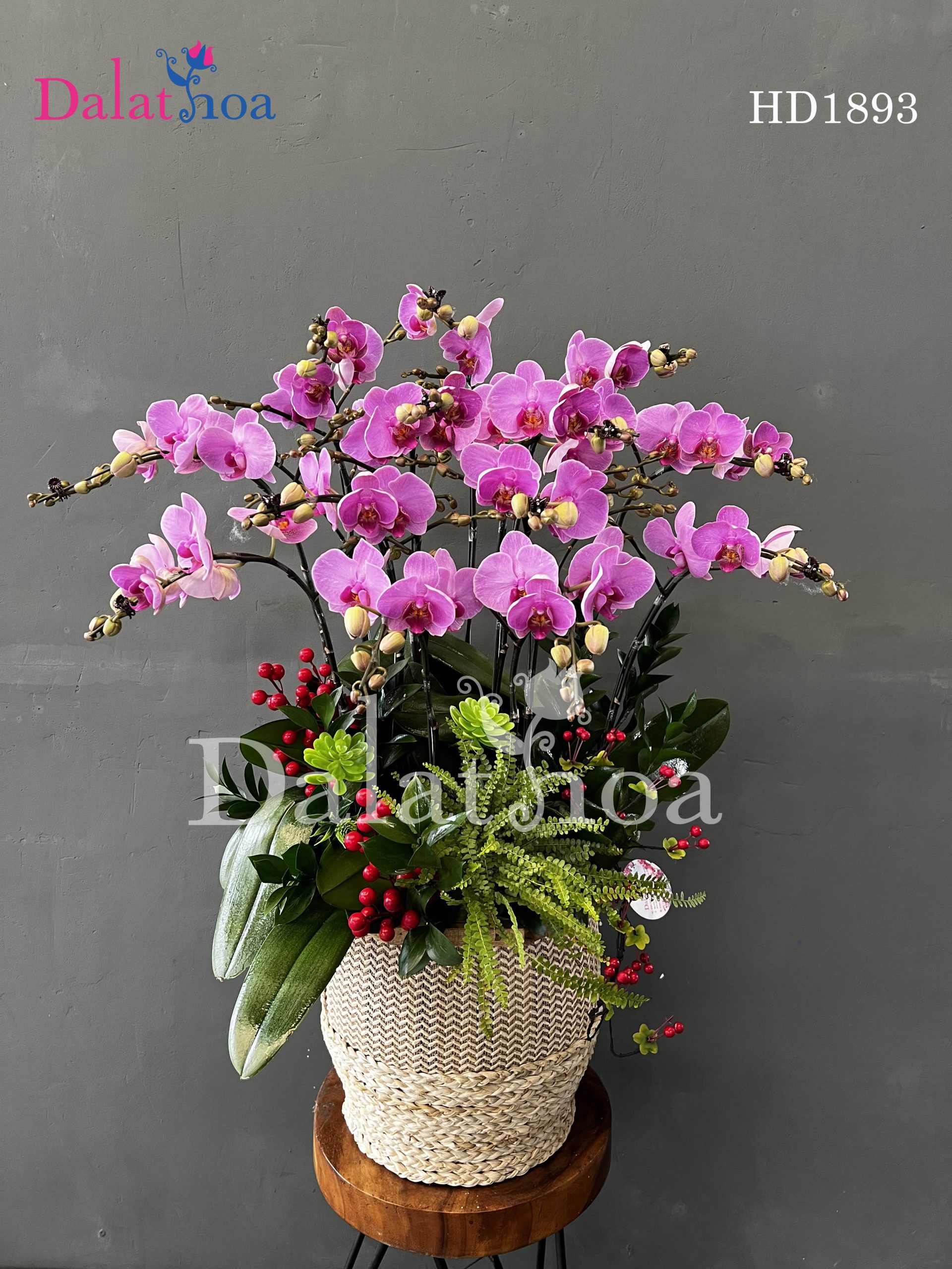 Lan Hồ Điệp Ngày Cuối Tháng Bảy – Lặng Lẽ Mà Đẹp Đẽ Như Thế