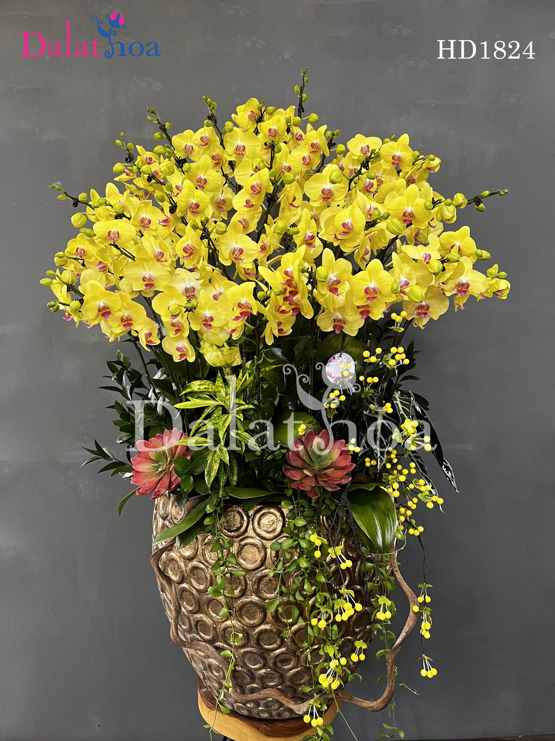 Nghệ Thuật Chinh Phục Khách Khó Tính Khi Bán Hoa Lan Hồ Điệp