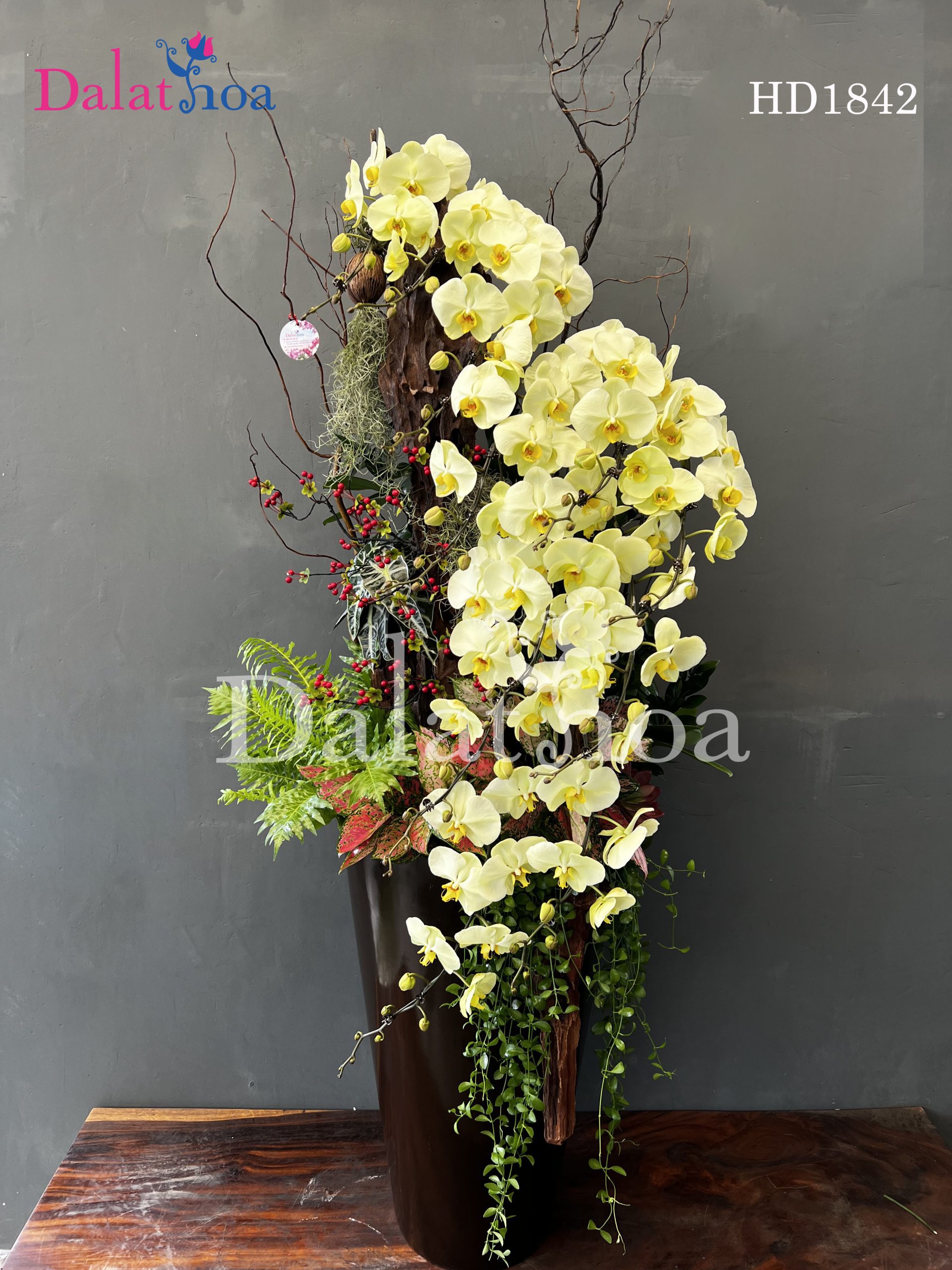 Nghệ Thuật Chinh Phục Khách Khó Tính Khi Bán Hoa Lan Hồ Điệp