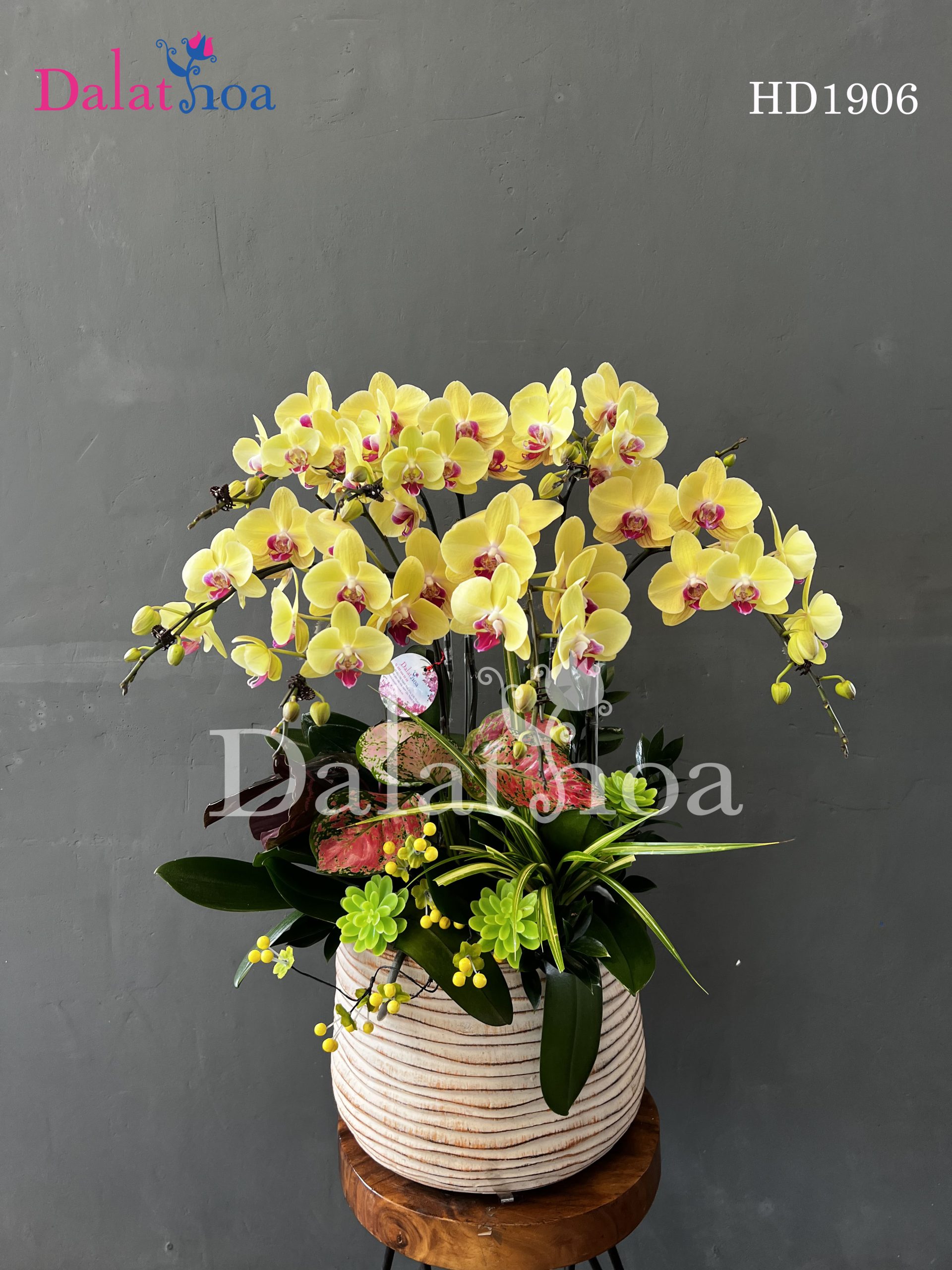 Nghệ Thuật Chinh Phục Khách Khó Tính Khi Bán Hoa Lan Hồ Điệp