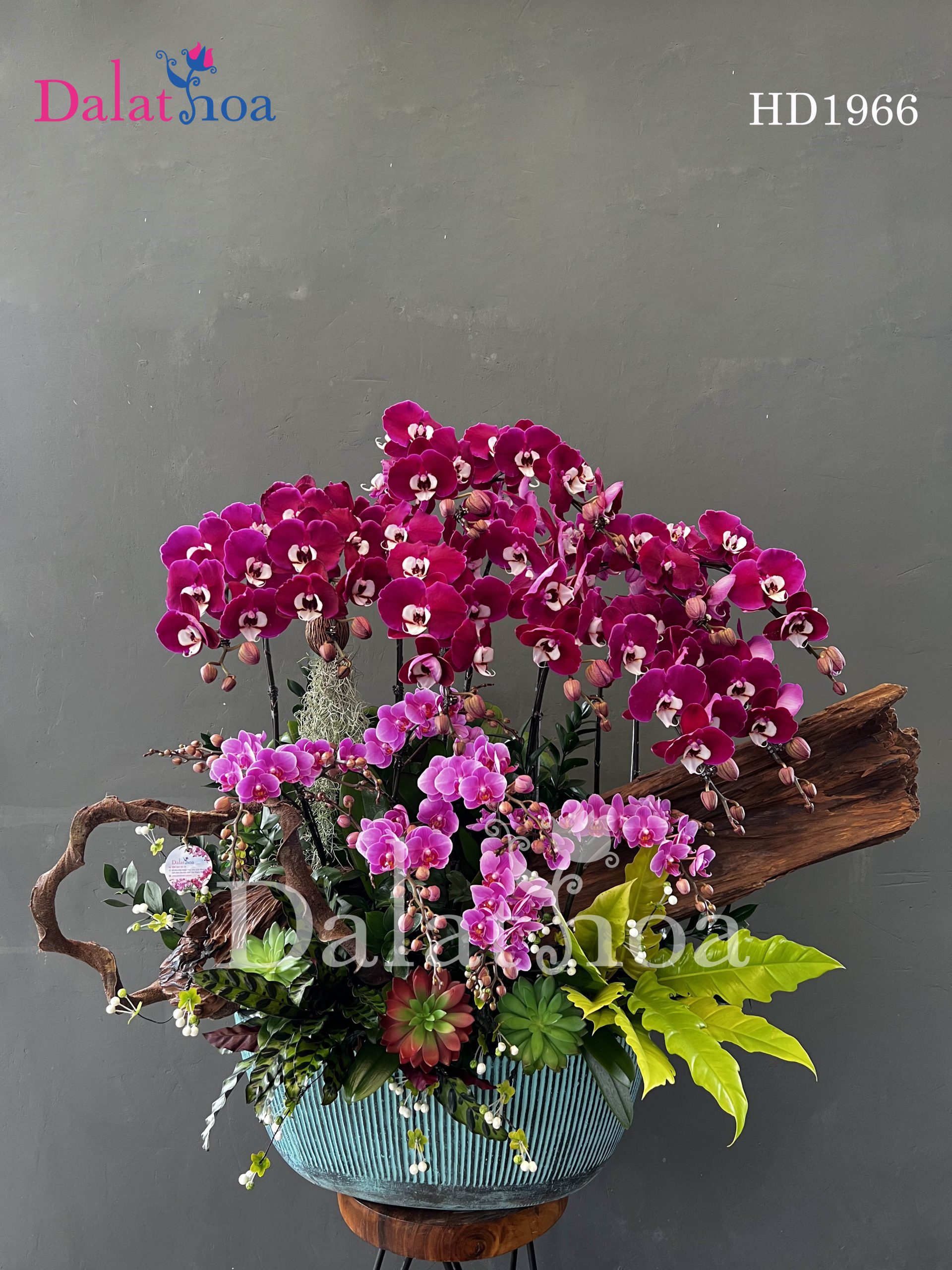 Chất Lượng Hoa Tại Dalathoa Quận 10 TP.HCM