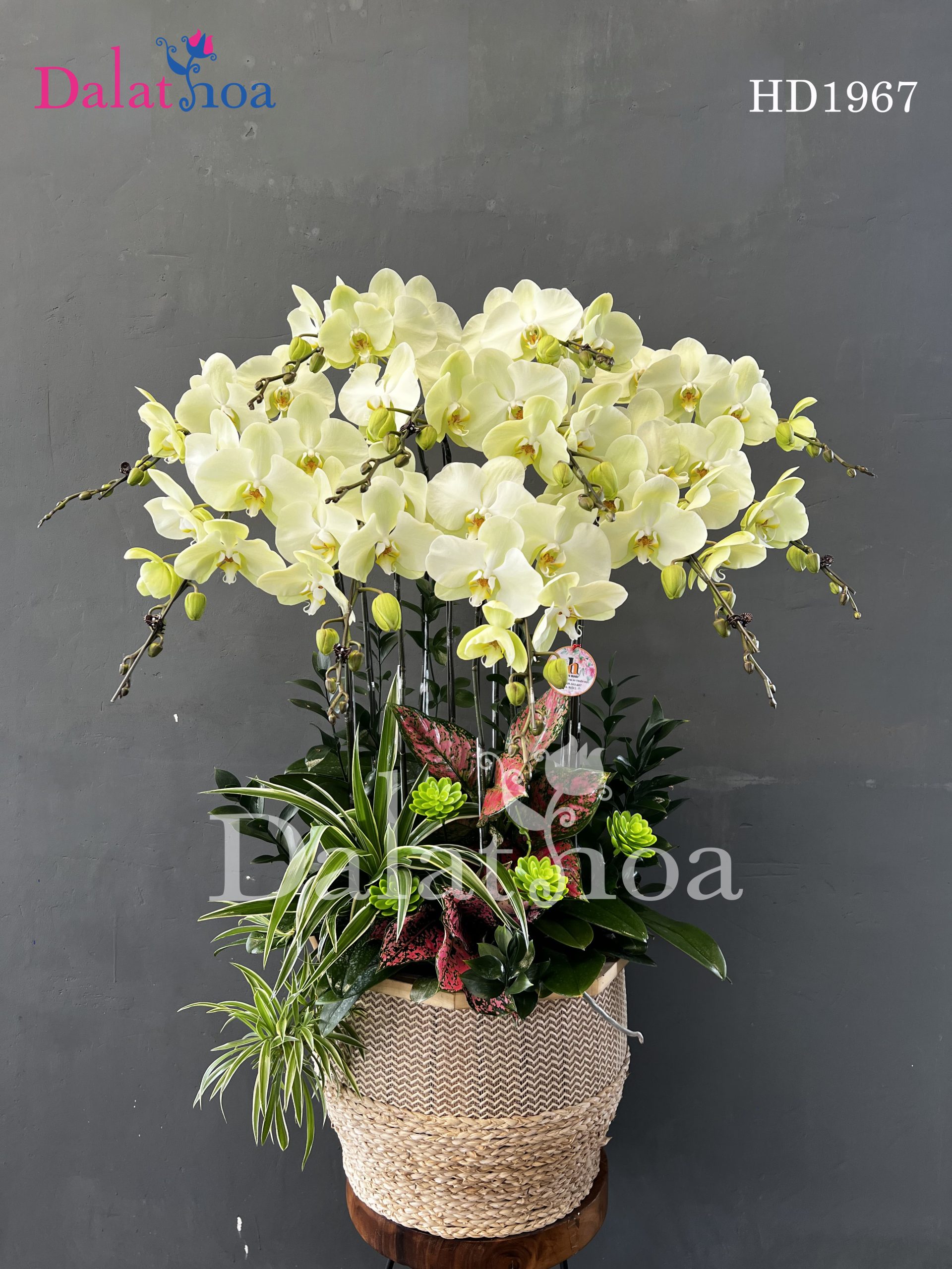 Chất Lượng Hoa Tại Dalathoa Quận 10 TP.HCM