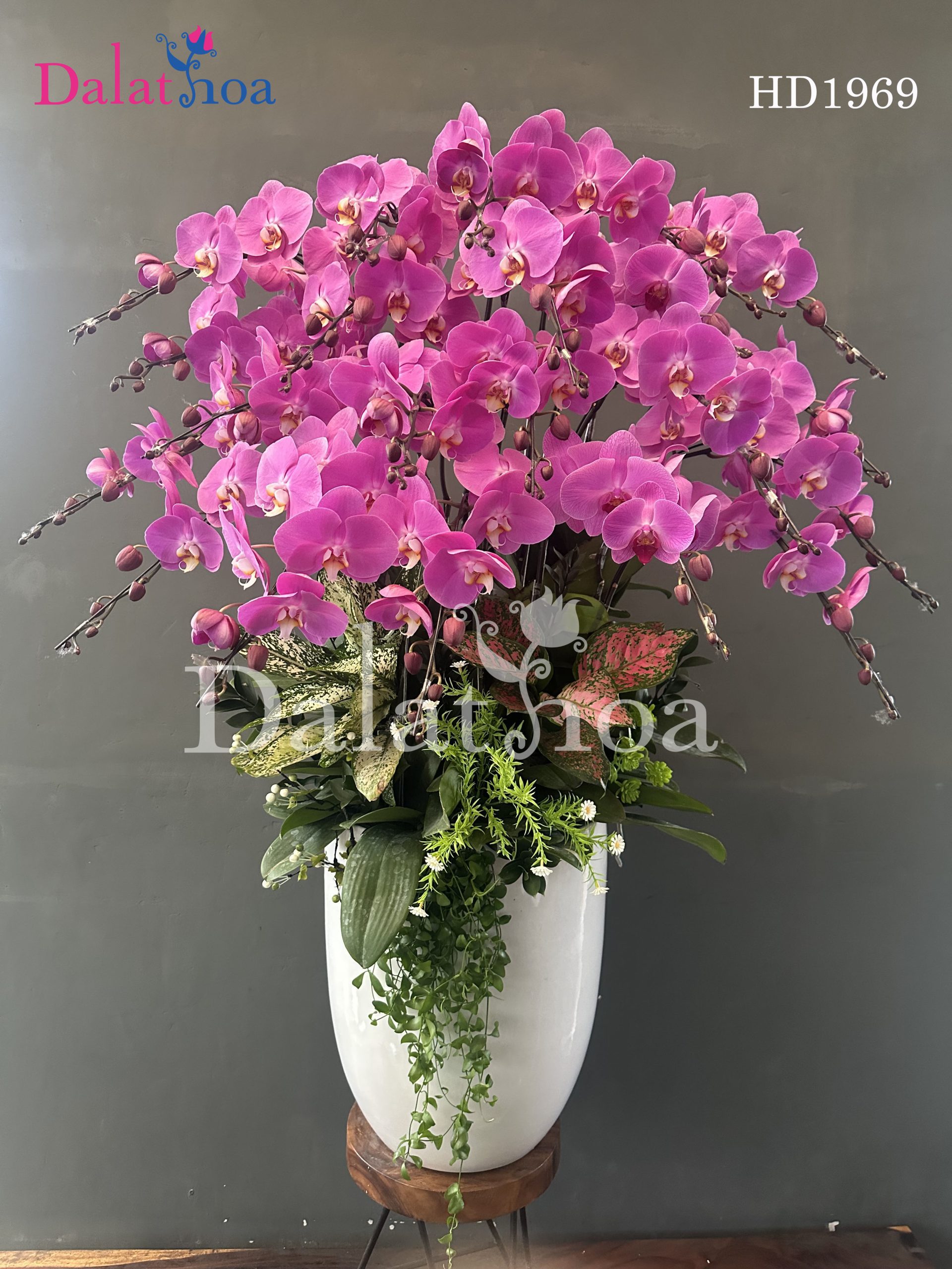 Lan Hồ Điệp – Mãi Nhớ Yêu Thương, Nâng Niu Phụ Nữ Việt Nam