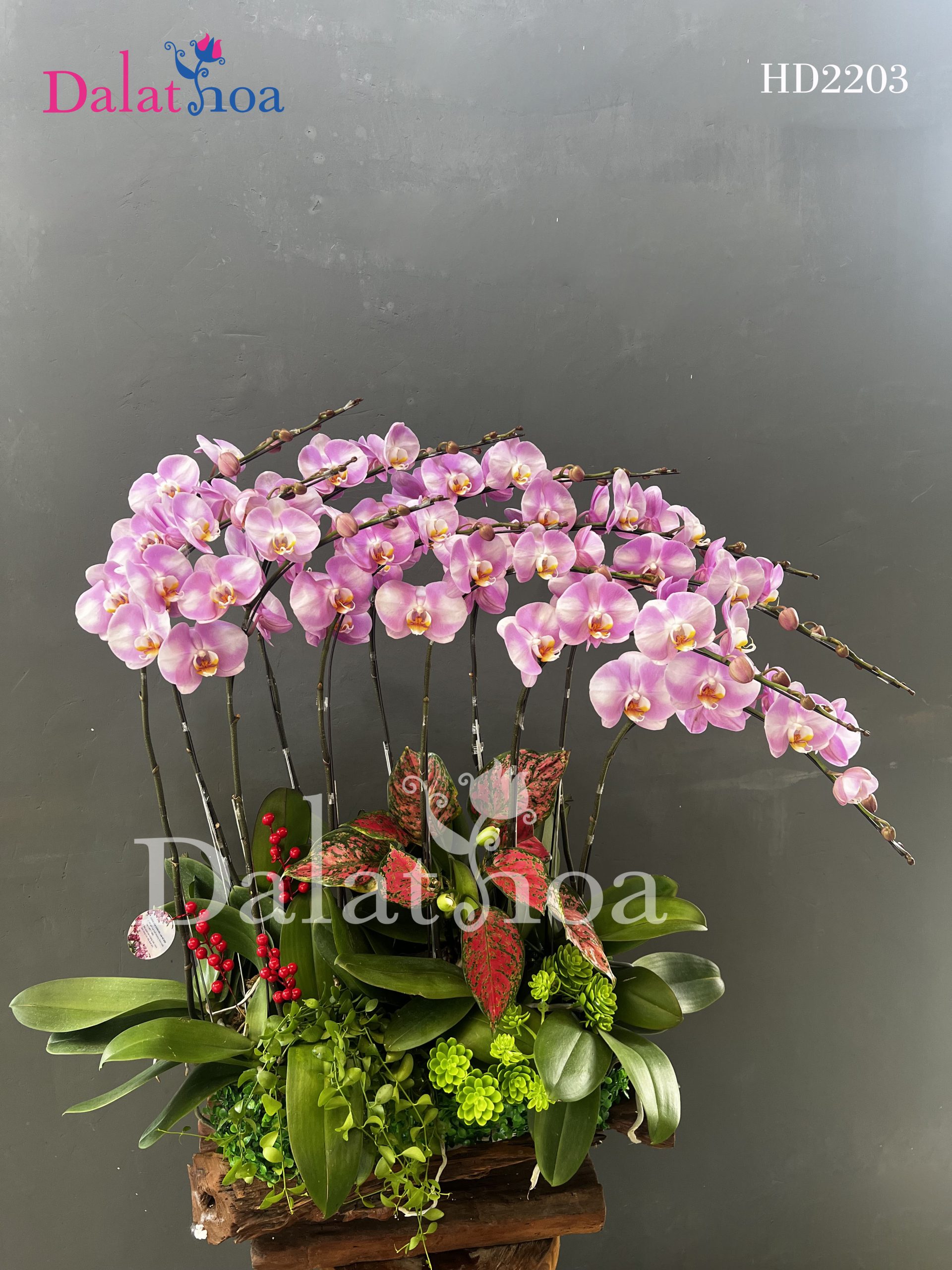 Những Hoạt Động Ý Nghĩa Vào Giáng Sinh Bên Gia Đình, Bạn Bè, Và Người Thương