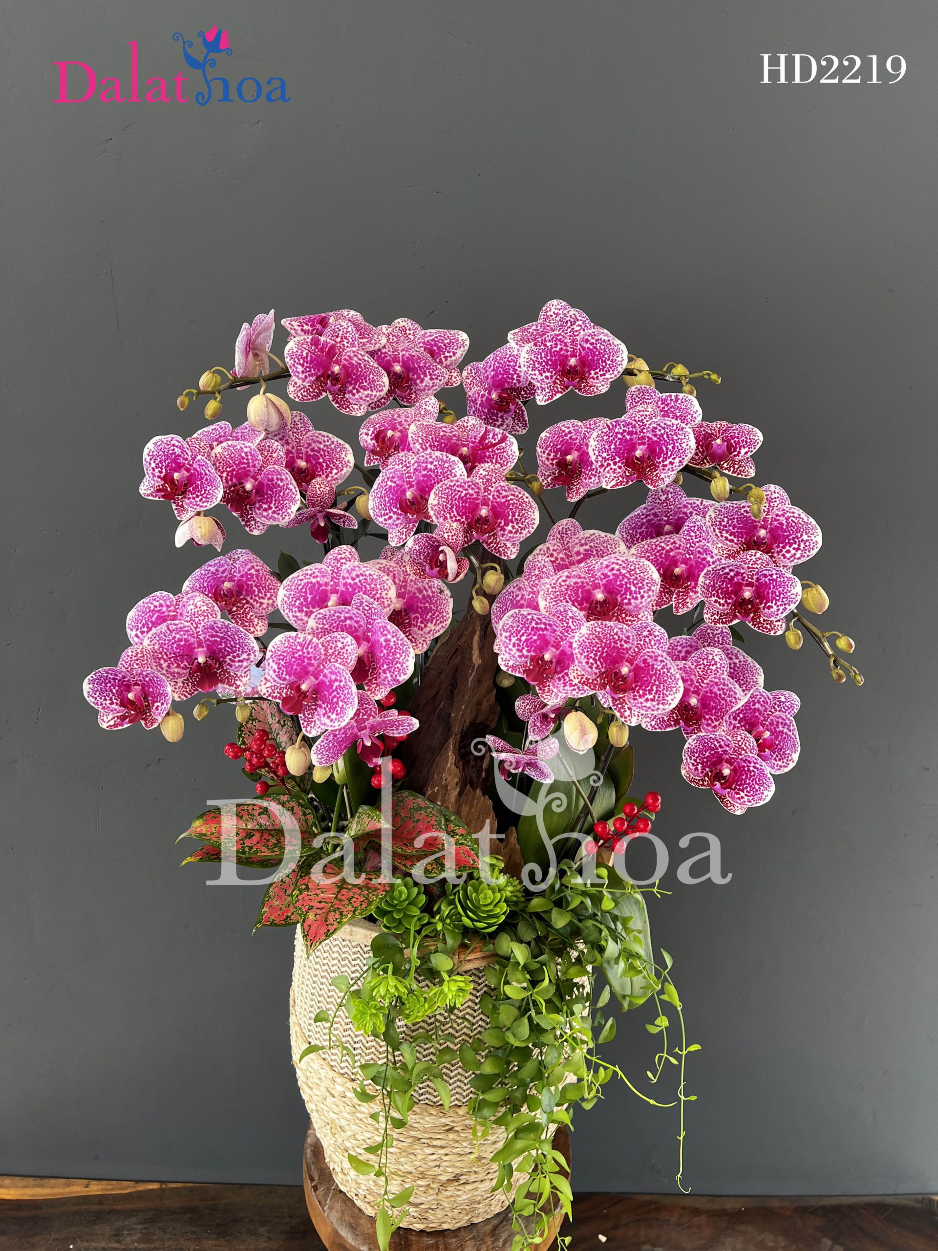 Những Hoạt Động Ý Nghĩa Vào Giáng Sinh Bên Gia Đình, Bạn Bè, Và Người Thương