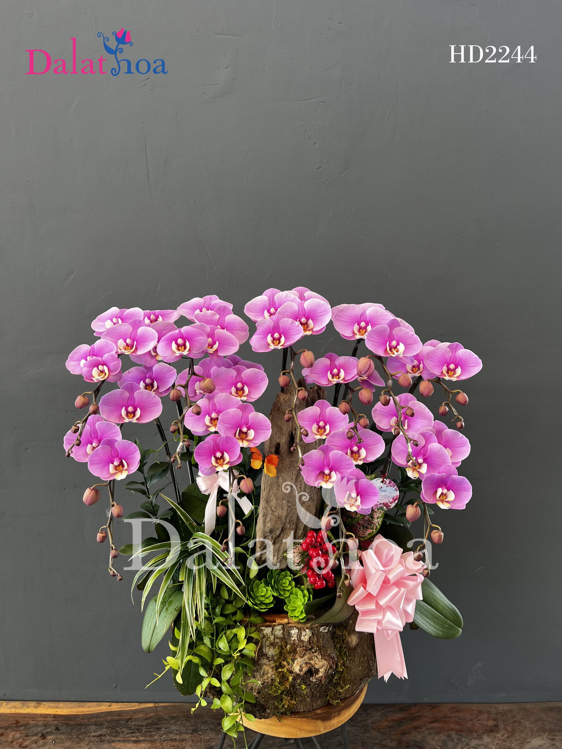 Những Ngày Chuẩn Bị Cho Valentine: Chậm Lại Để Yêu Thương Nhiều Hơn