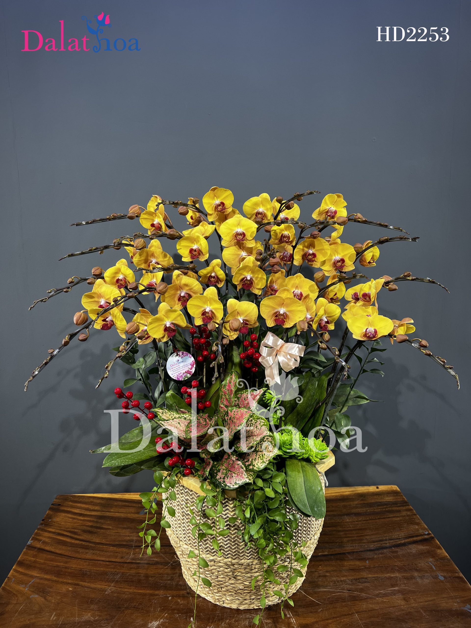 Chào mừng đêm Giáng Sinh cùng Lan Hồ Điệp: Ngày Niềm Vui và Hạnh Phúc Bên Gia Đình