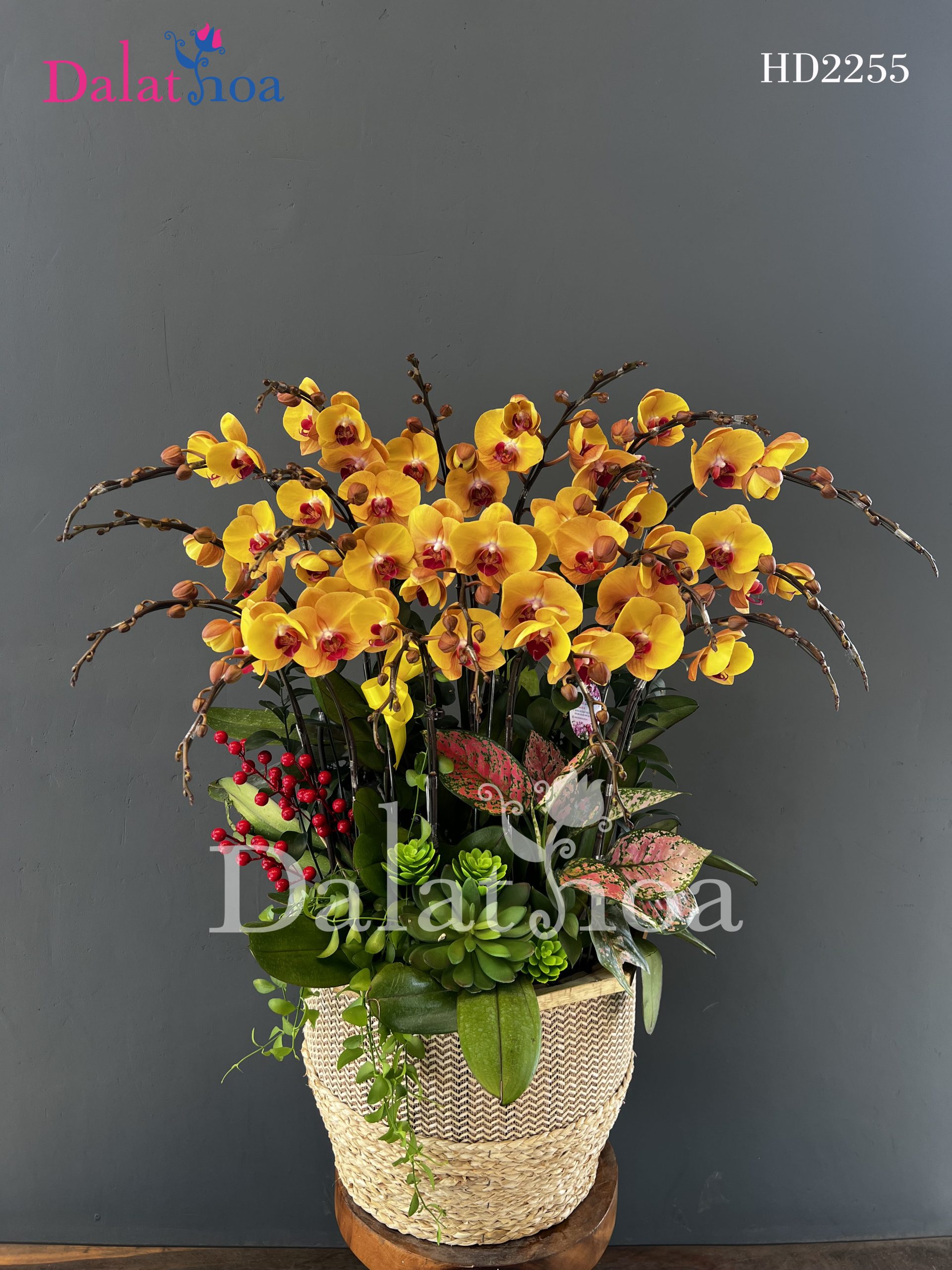 Những Ngày Chuẩn Bị Cho Valentine: Chậm Lại Để Yêu Thương Nhiều Hơn