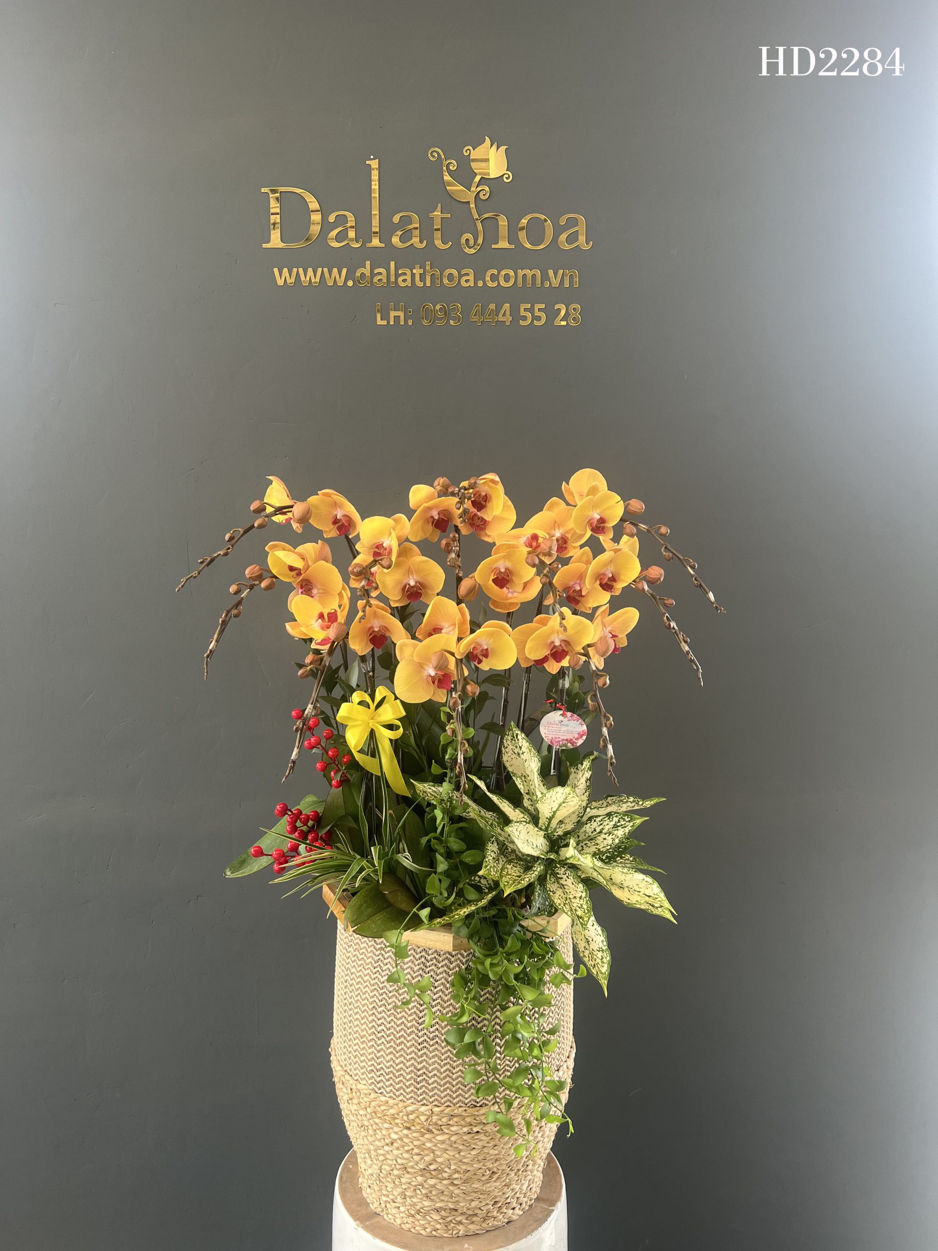 Tận Hưởng Hoa Lan Hồ Điệp Cuối Tuần Cùng Gia Đình