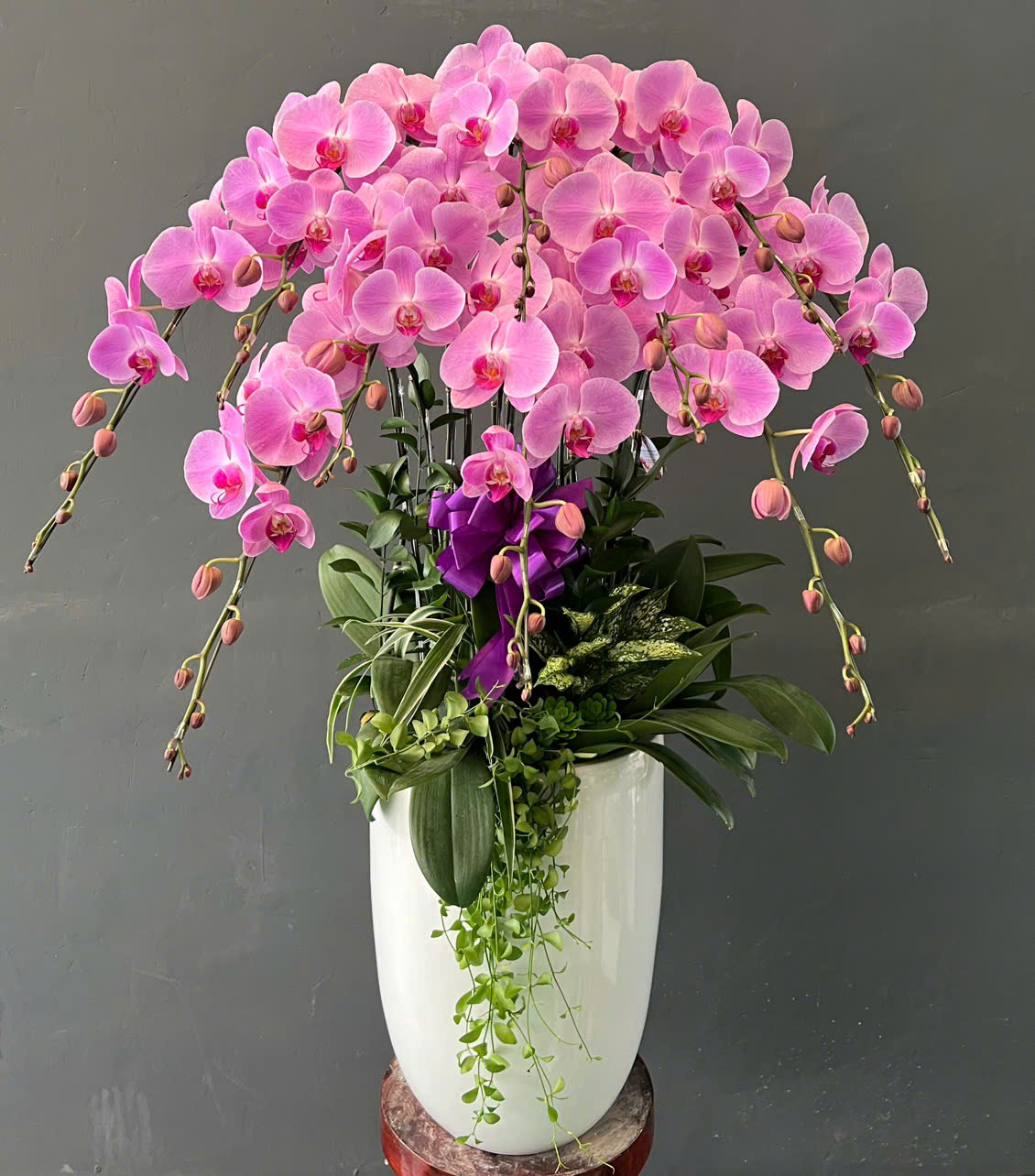 Không Nên So Sánh Các Loài Hoa – Mỗi Loài Đều Mang Một Vẻ Đẹp Và Ý Nghĩa Riêng