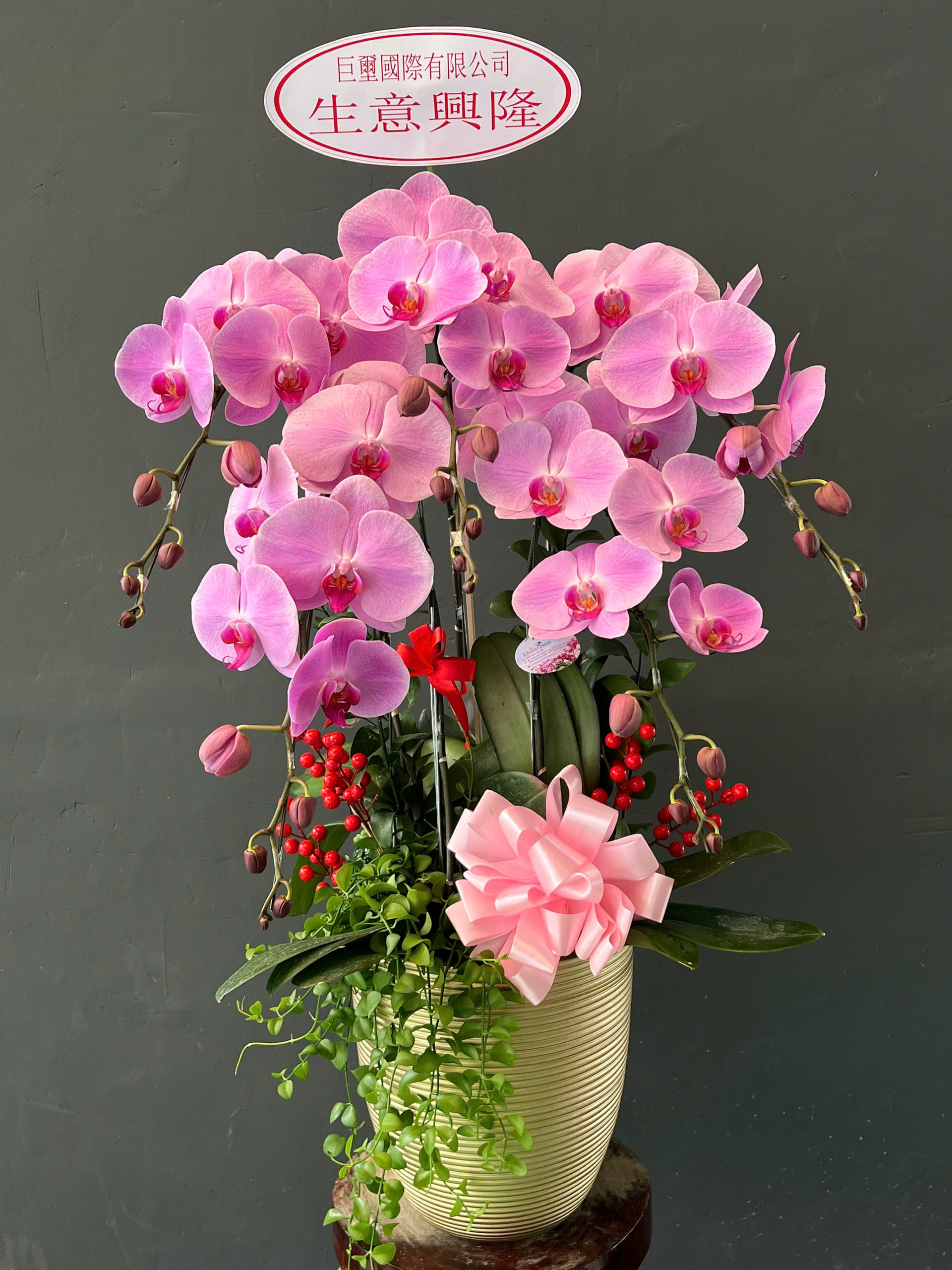 Đẹp Từ Tâm Hay Đẹp Từ Da? Hoa Lan Hồ Điệp Cho Bạn Cả Hai!