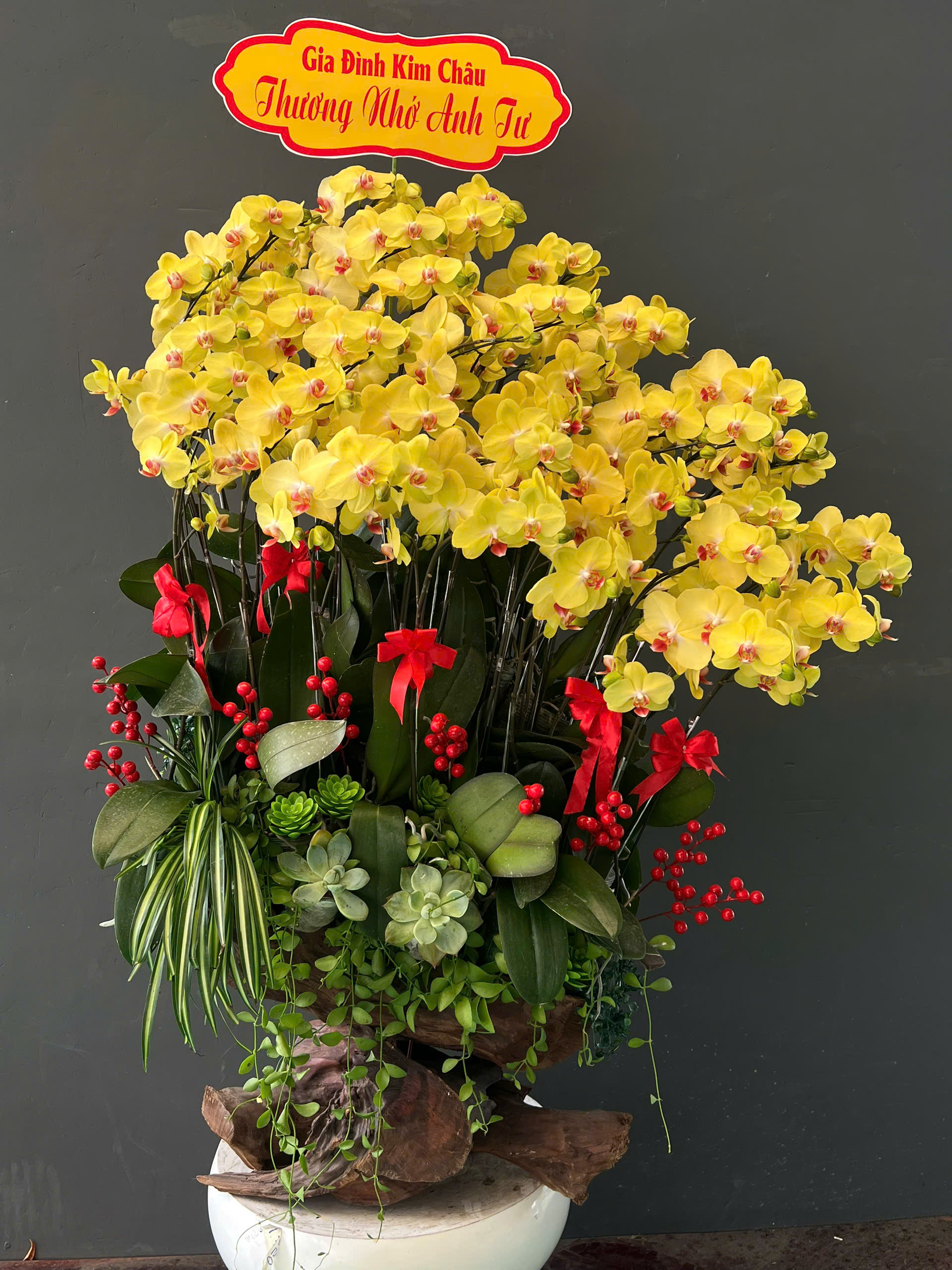 Ngắm Hoa Lan Thay Vì Bận Tâm Nỗi Buồn