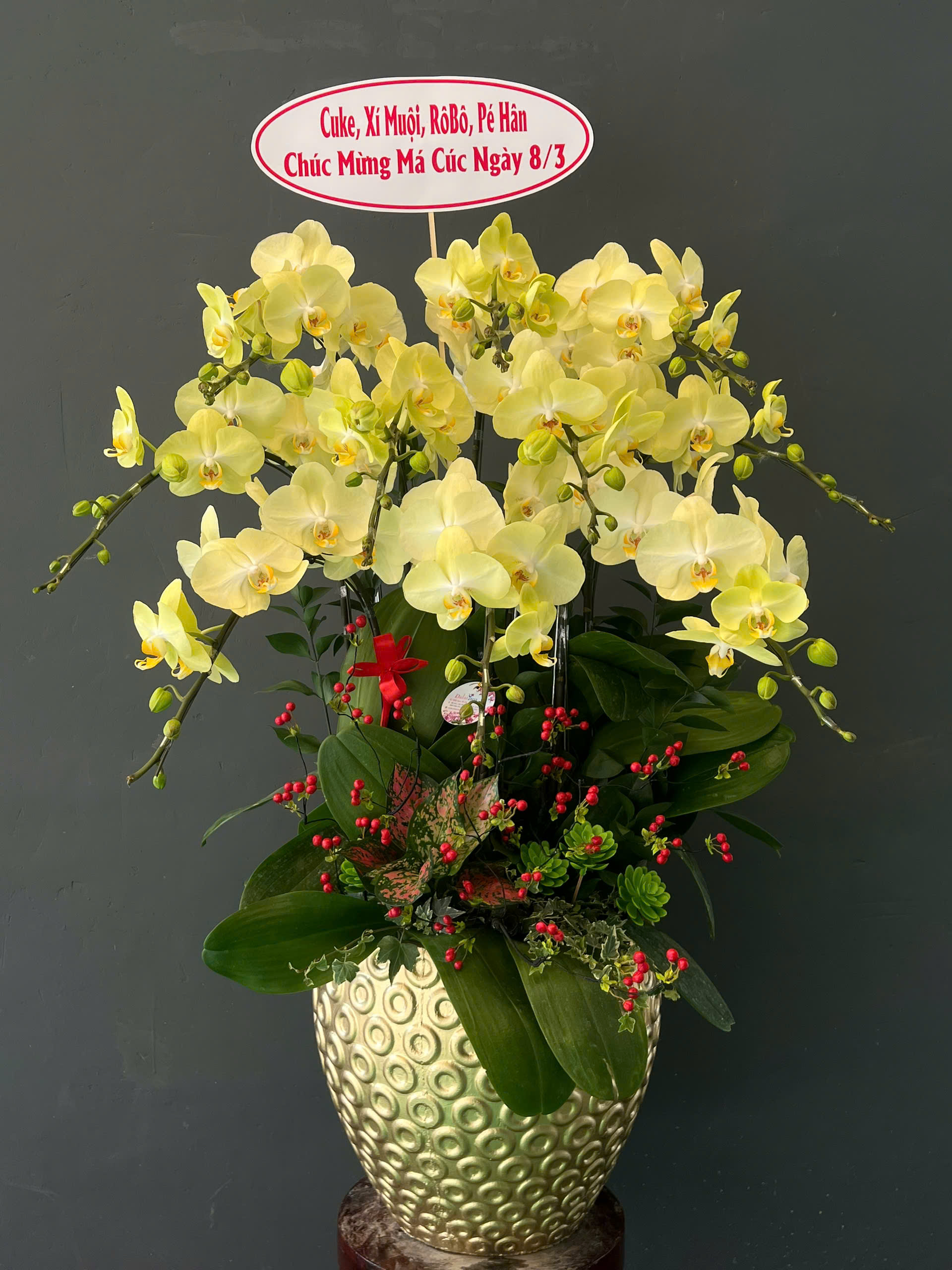 Bí Quyết Chọn Hoa Lan Hồ Điệp Khiến Ai Đến Nhà Cũng Trầm Trồ