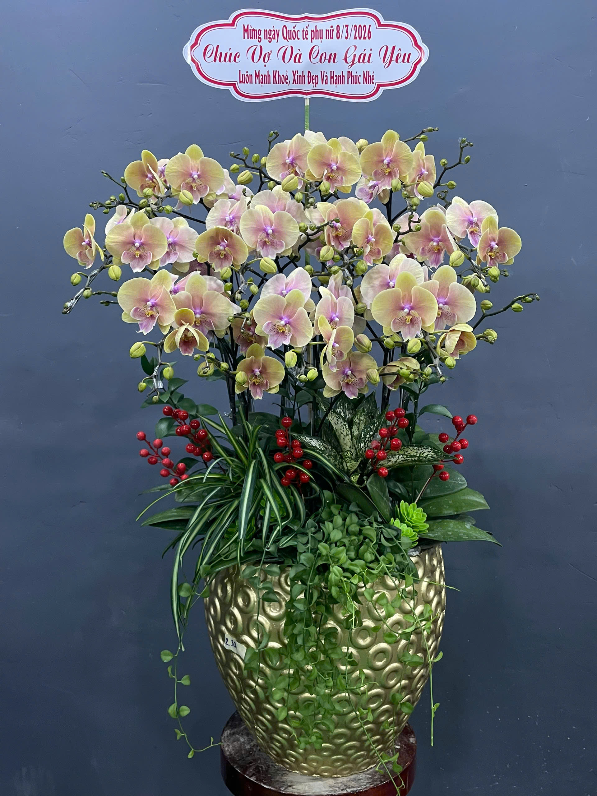 Có Thật Hoa Lan Hồ Điệp “Biết Chọn Chủ”? Nhiều Người Chơi Lan Tin Là Vậy