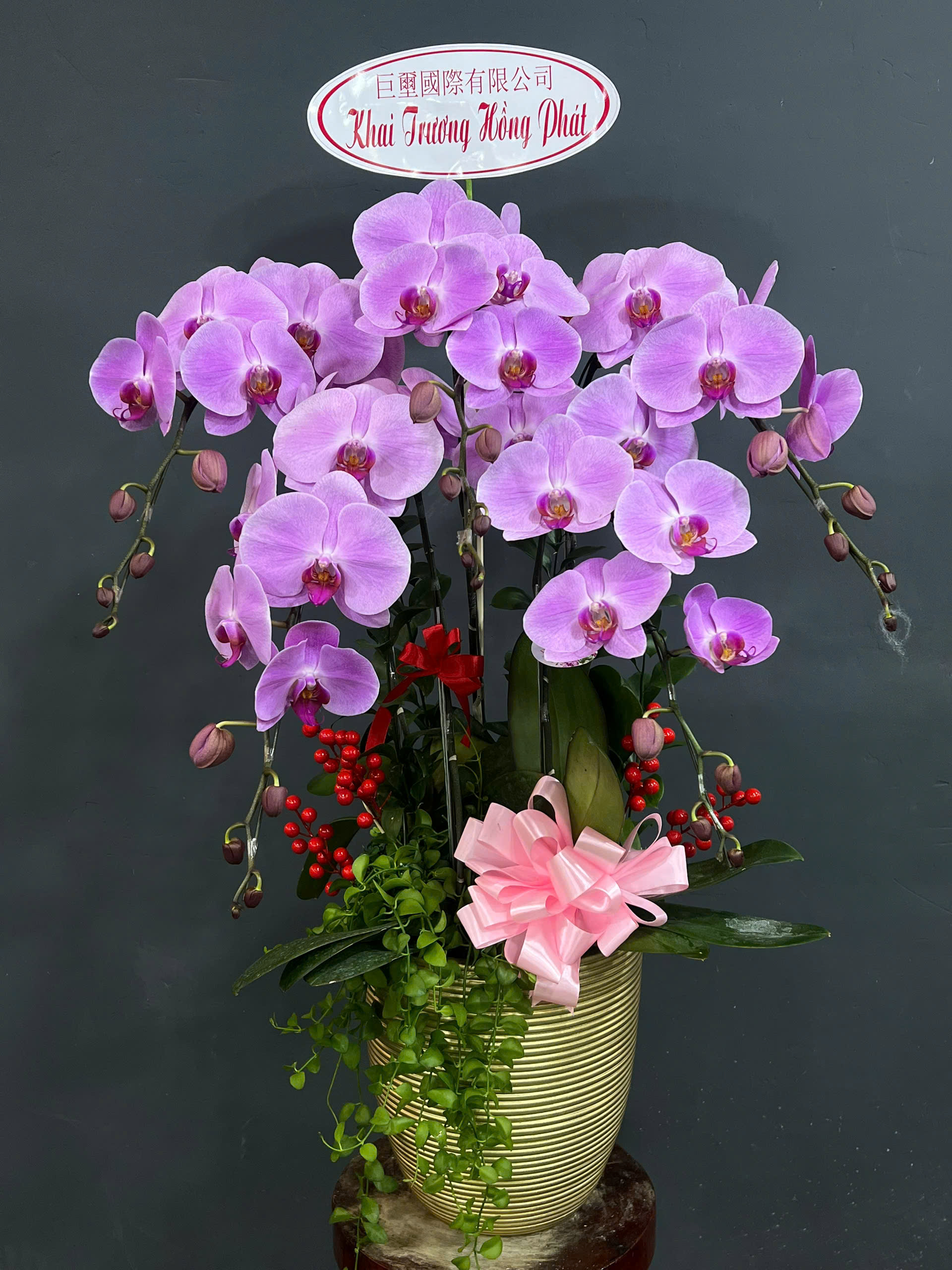 Tâm Sự Của Hoa Lan Hồ Điệp Gửi Người Chăm Hoa Và Khách Hàng Dalathoa