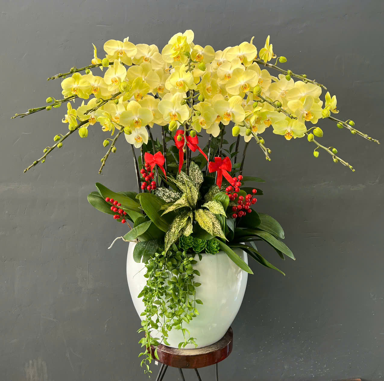 Loài Hoa Duy Nhất Khiến Các Loài Hoa Khác Phải “Cúi Đầu” – Bạn Đã Thấy Chưa?