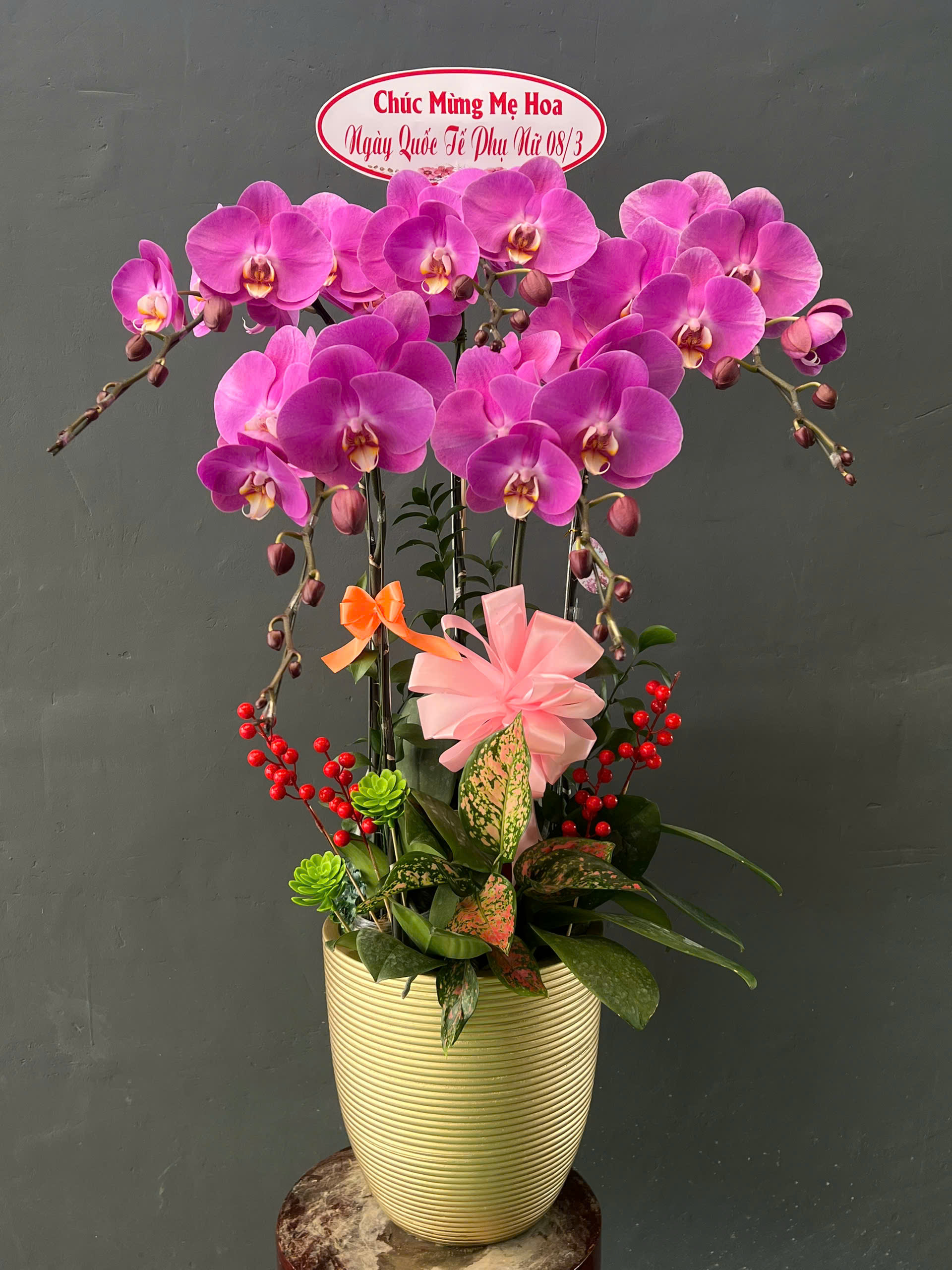 Tâm Sự Của Hoa Lan Hồ Điệp Gửi Người Chăm Hoa Và Khách Hàng Dalathoa