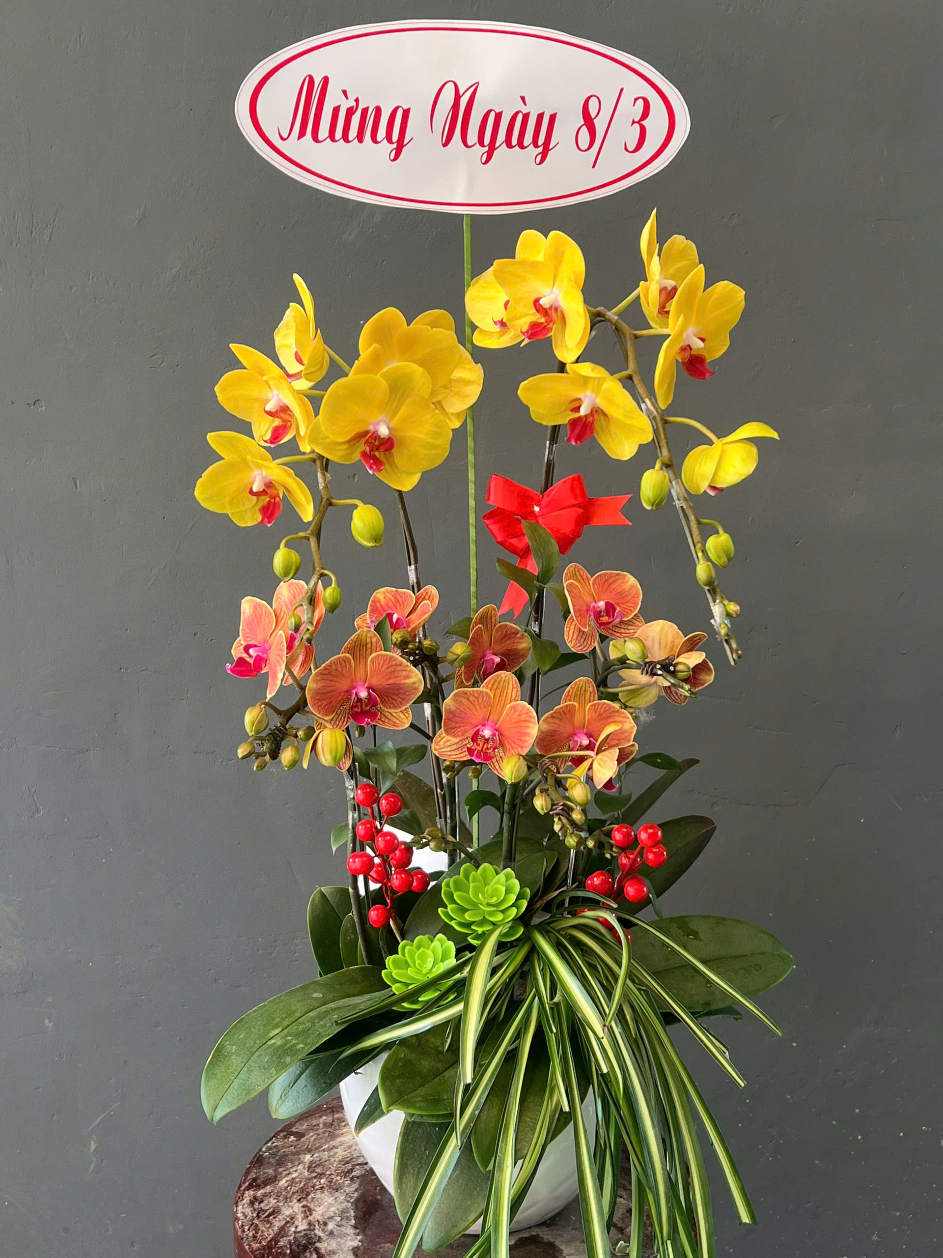 Ngắm Hoa Lan Thay Vì Bận Tâm Nỗi Buồn