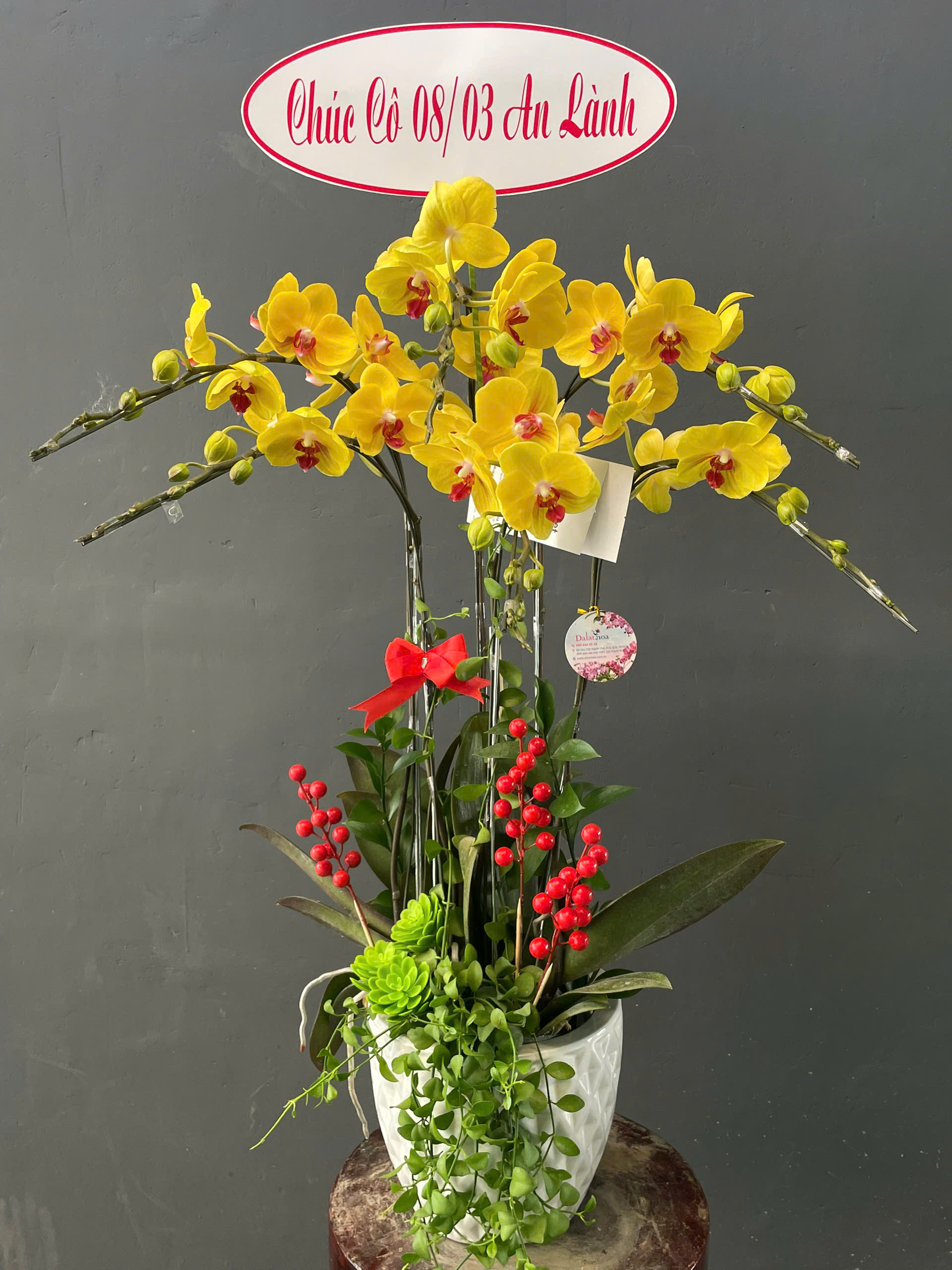 Yếu Tố Quyết Định Chậu Hoa Lan Đẹp Từ Góc Nhìn Thực Tế Từ Khách Hàng