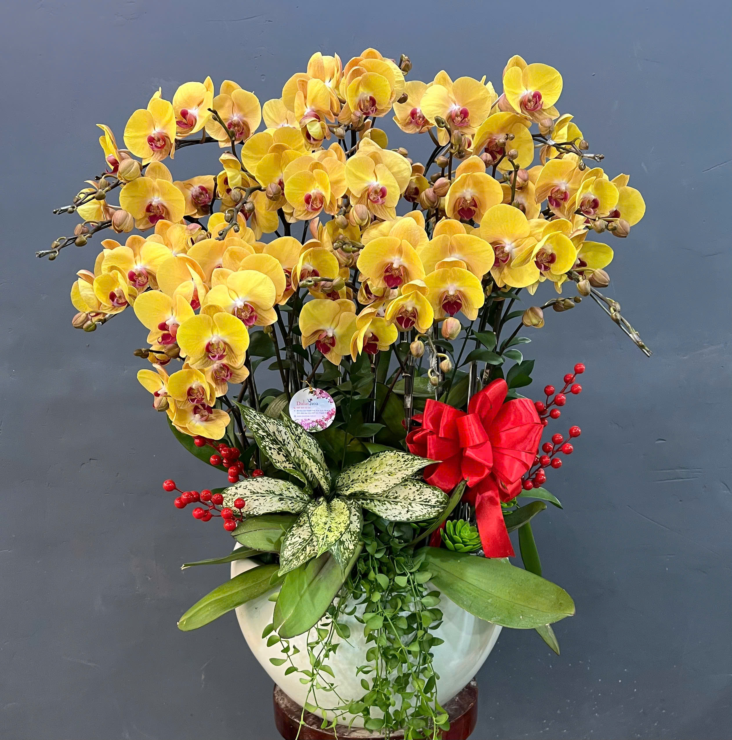 Không Nên So Sánh Các Loài Hoa – Mỗi Loài Đều Mang Một Vẻ Đẹp Và Ý Nghĩa Riêng