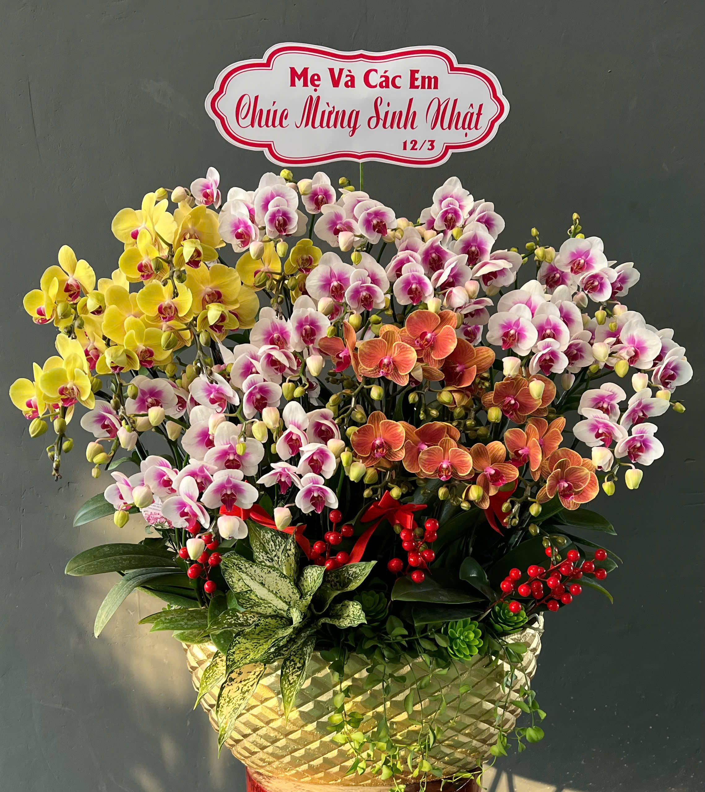 Tâm Sự Của Hoa Lan Hồ Điệp Gửi Người Chăm Hoa Và Khách Hàng Dalathoa