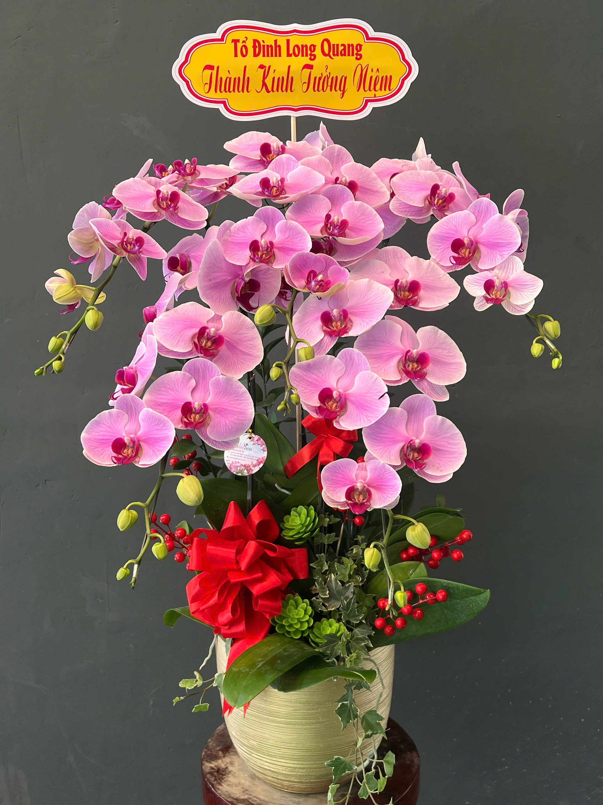 Ngắm Hoa Lan Thay Vì Bận Tâm Nỗi Buồn