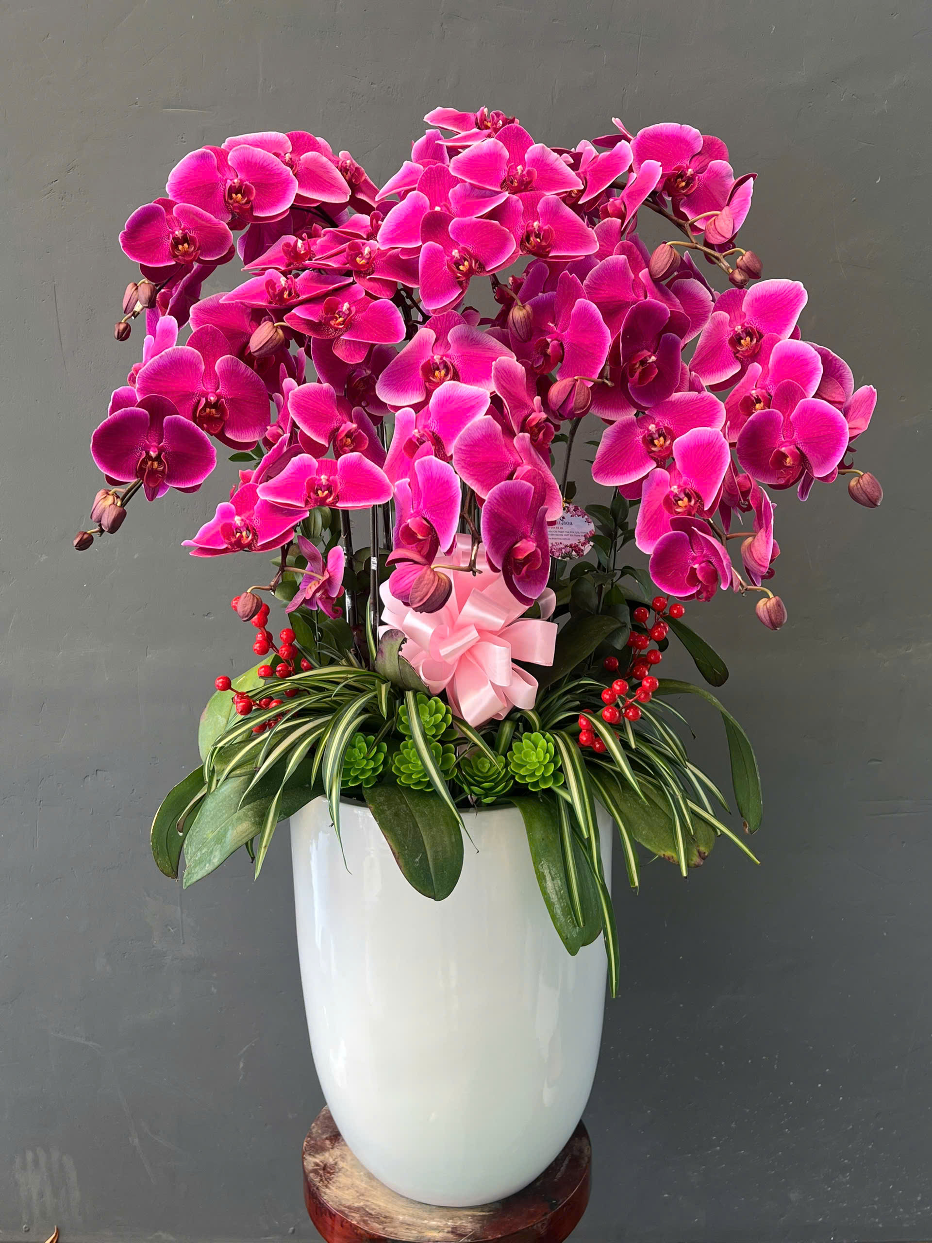 Vì Sao Nhiều Khách Hàng Quay Lại Mua Hoa Lan Hồ Điệp Tại Dalathoa?