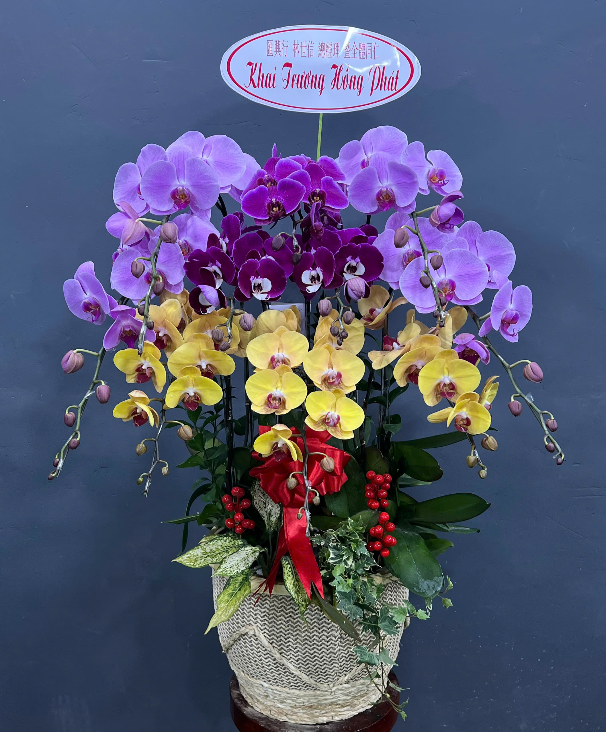 Ngắm Hoa Lan Thay Vì Bận Tâm Nỗi Buồn