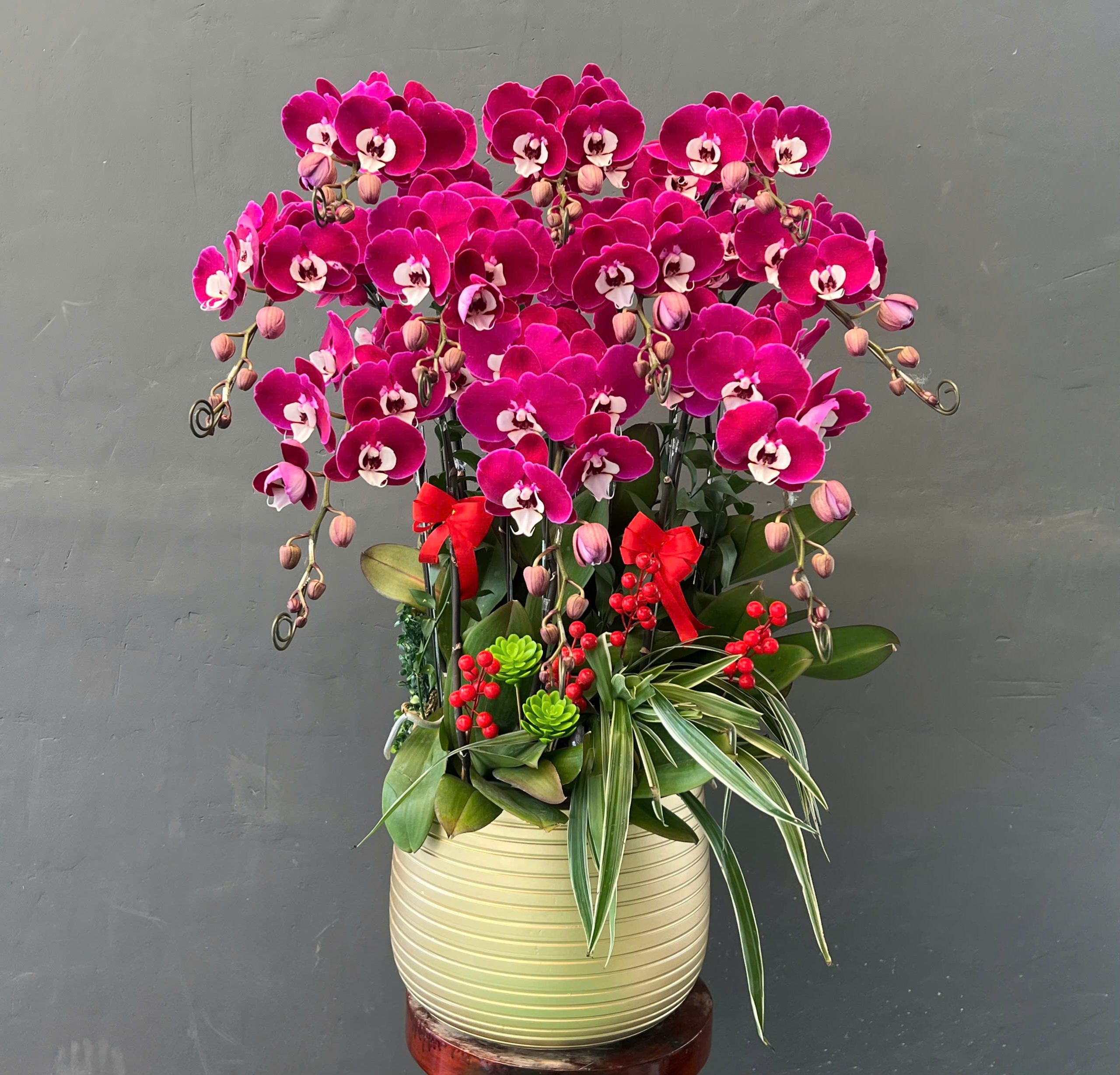 Tâm Sự Của Hoa Lan Hồ Điệp Gửi Người Chăm Hoa Và Khách Hàng Dalathoa