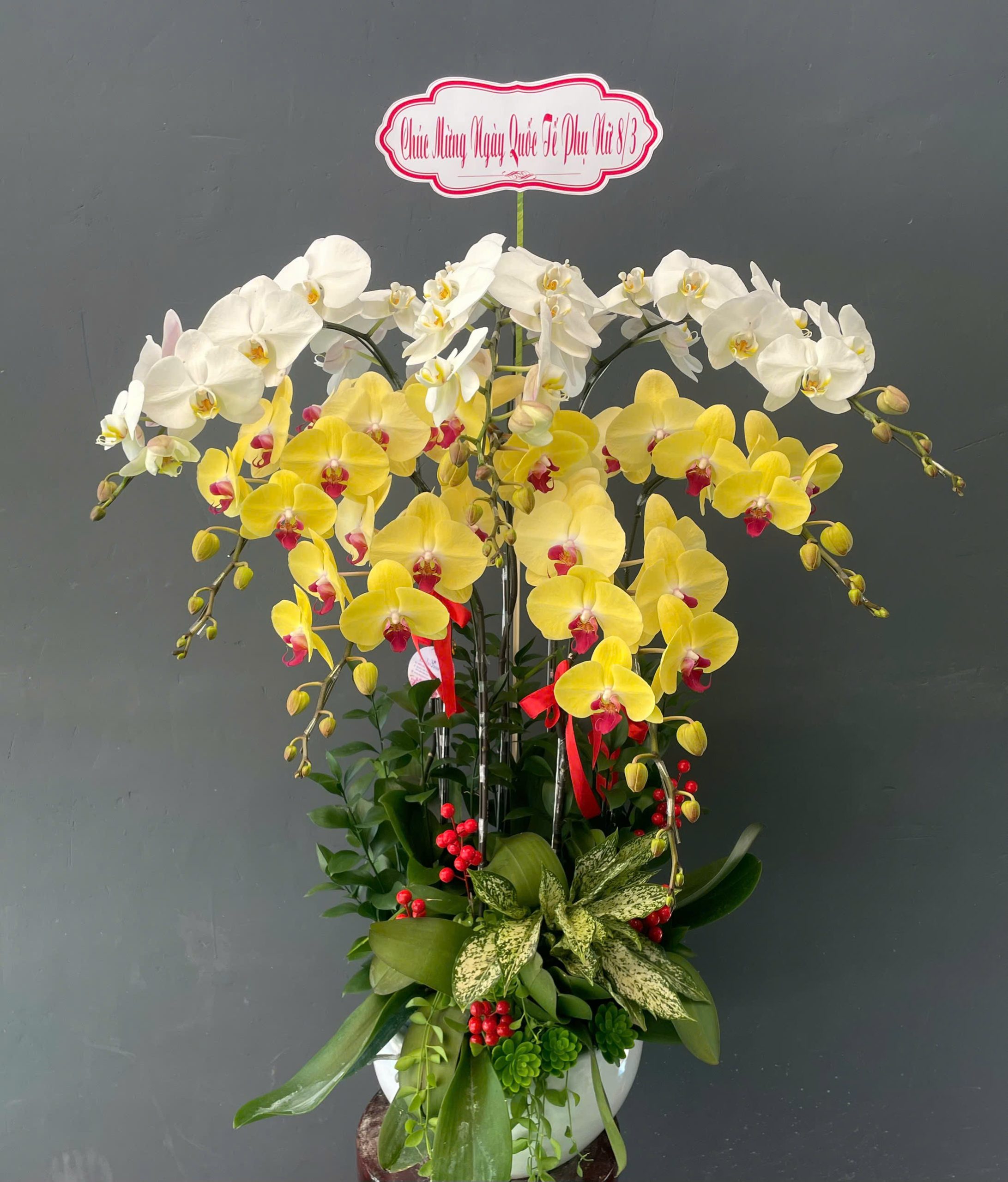 Mua Hoa Lan Hồ Điệp Ở Đâu Đẹp Và Uy Tín? Dalathoa Đang Được Nhiều Người Nhắc Đến