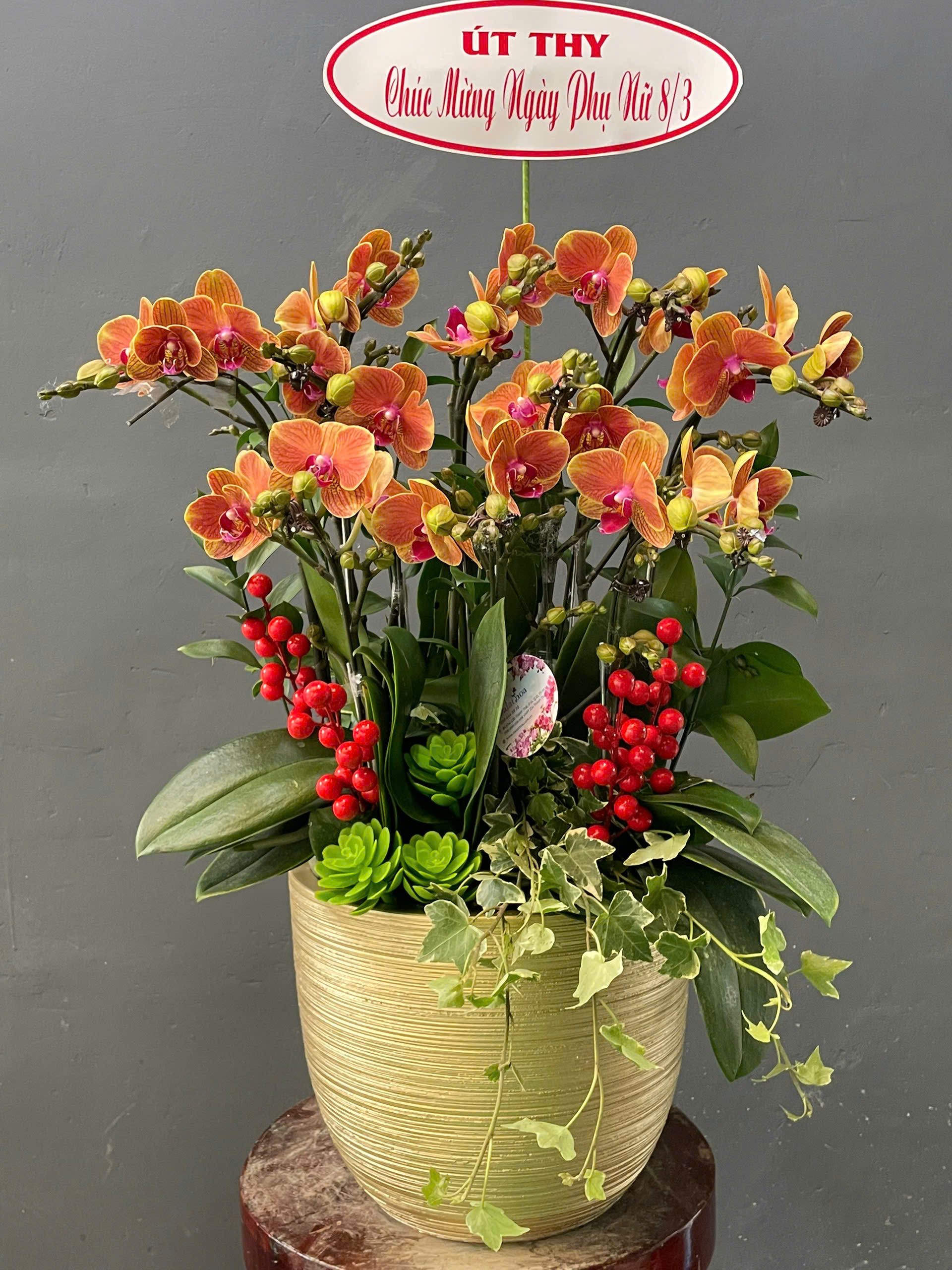 Có Thật Hoa Lan Hồ Điệp “Biết Chọn Chủ”? Nhiều Người Chơi Lan Tin Là Vậy