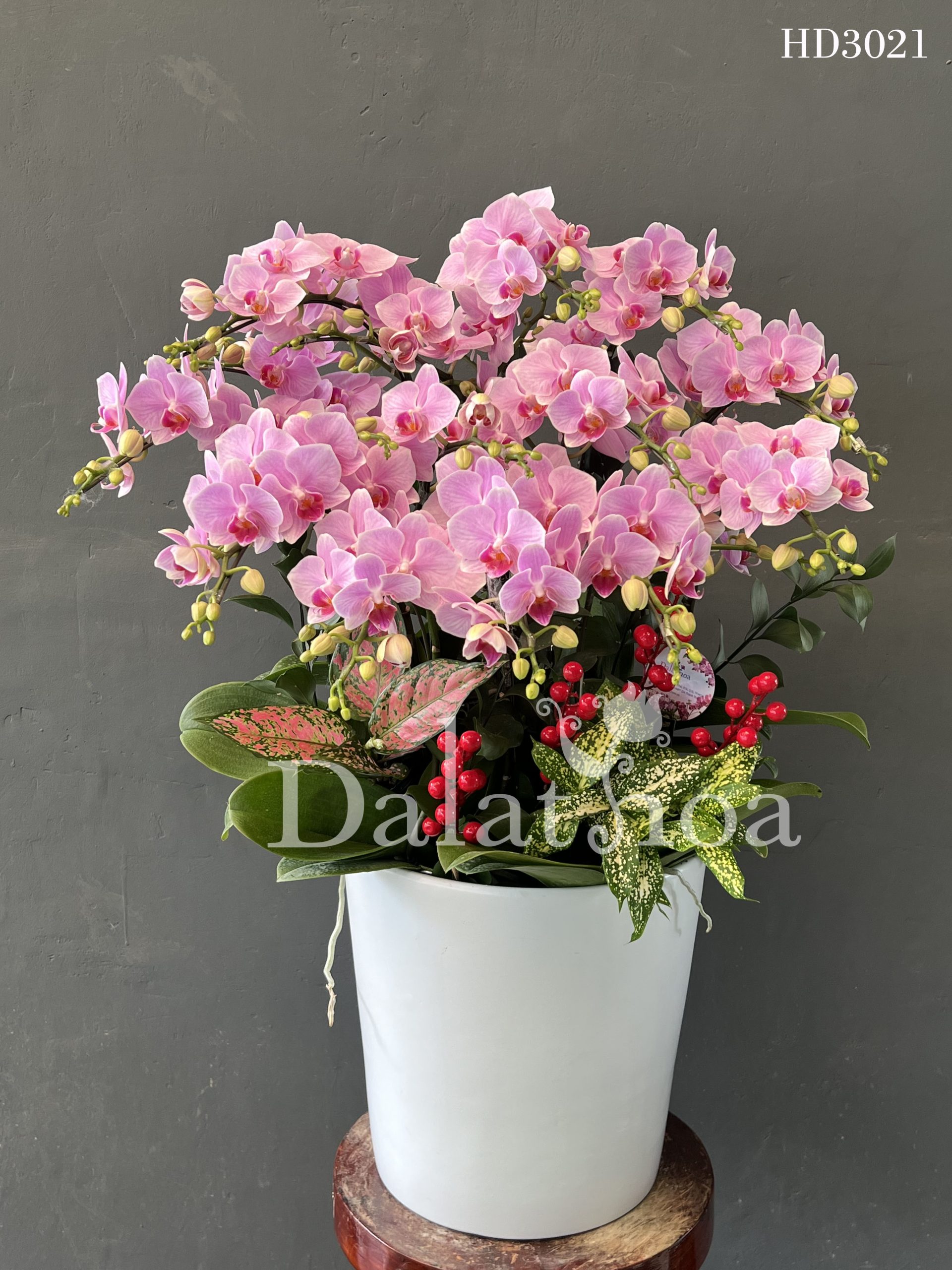 Những Câu Chuyện Nhỏ Về Ngày 20/10 – Khi Yêu Thương Nở Rộ Từ Những Điều Giản Dị