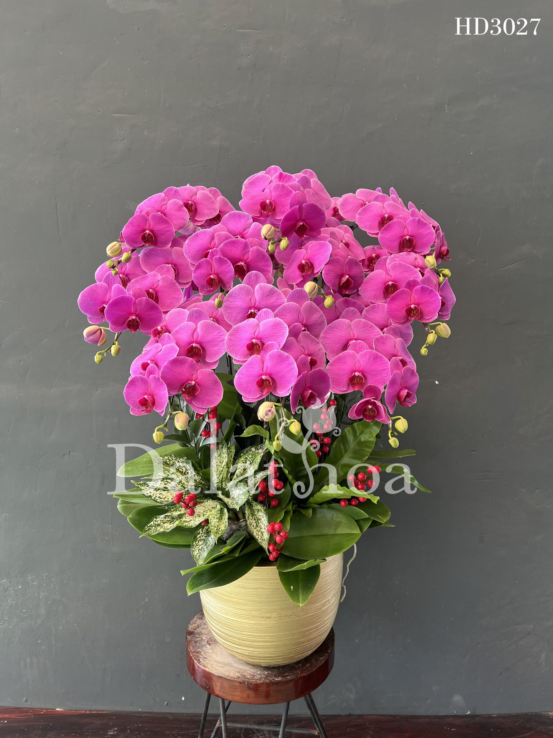 Những Câu Chuyện Nhỏ Về Ngày 20/10 – Khi Yêu Thương Nở Rộ Từ Những Điều Giản Dị