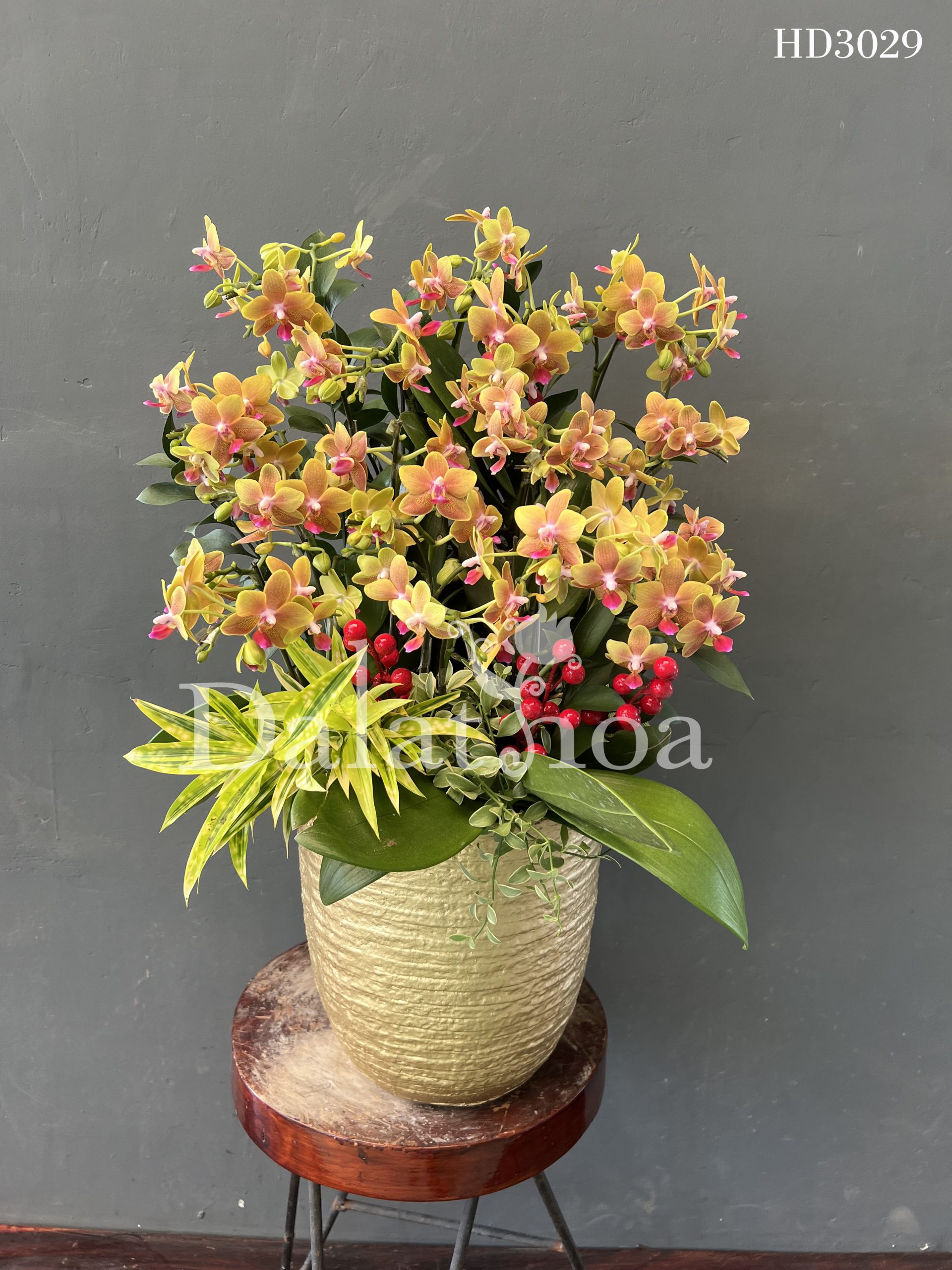 Những Câu Chuyện Nhỏ Về Ngày 20/10 – Khi Yêu Thương Nở Rộ Từ Những Điều Giản Dị