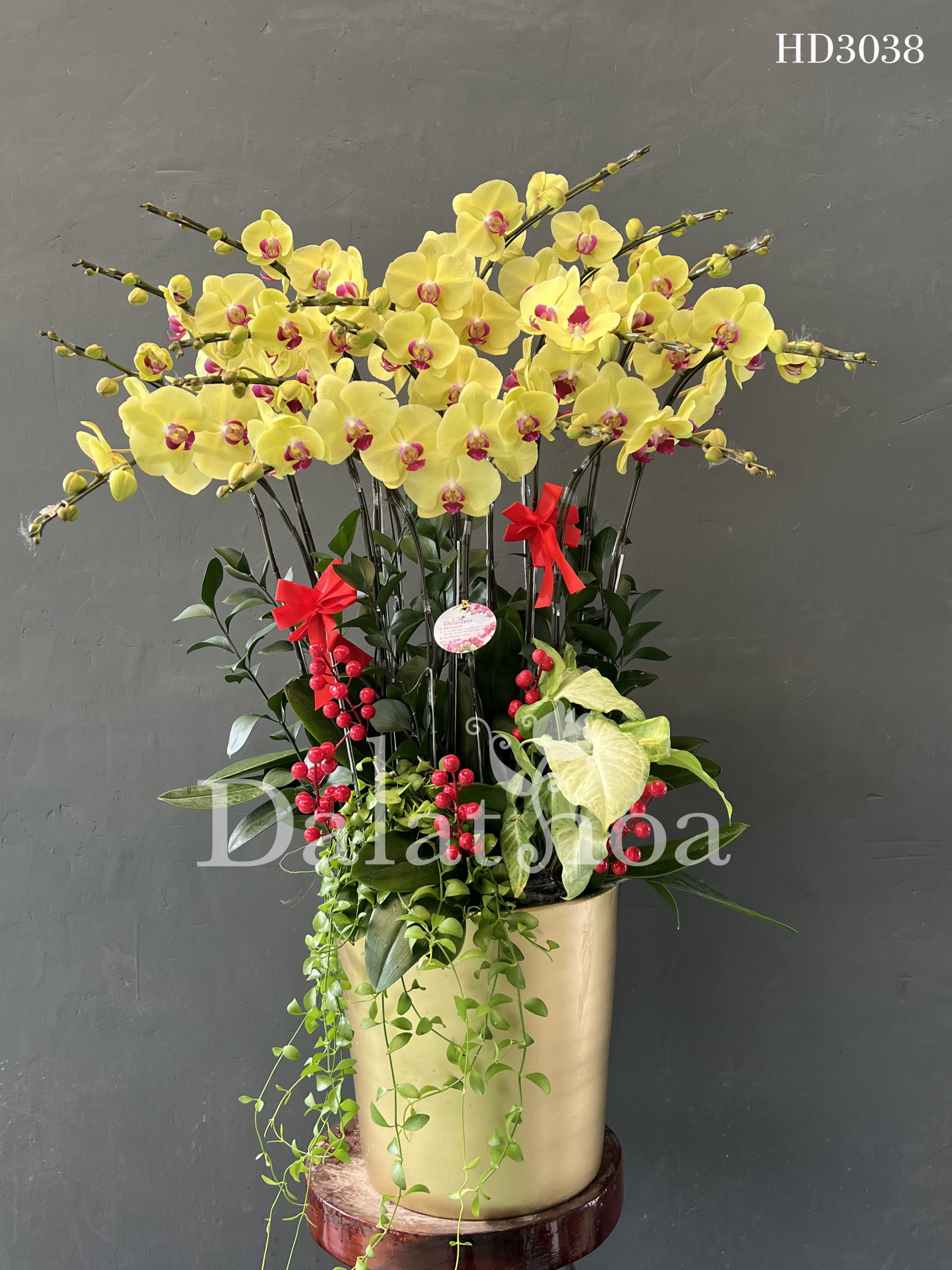 Cùng Lan Hồ Điệp Lưu Giữ Mãi Nụ Cười Và Sự Hạnh Phúc của Người Phụ Nữ