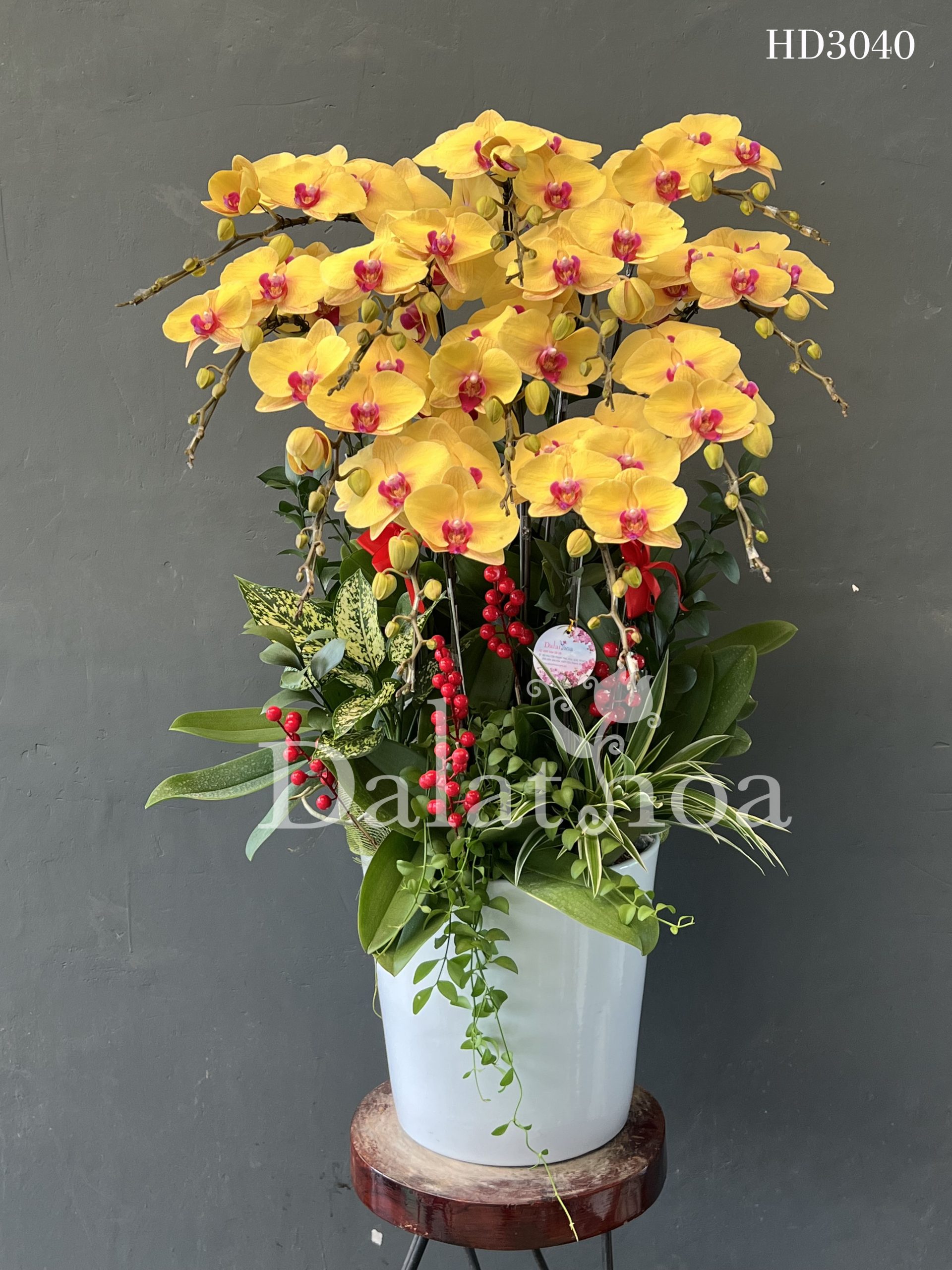 Không Chỉ Ngày 20/10: Hãy Để Mỗi Ngày Đều Là Ngày Yêu Thương Cùng Dalathoa