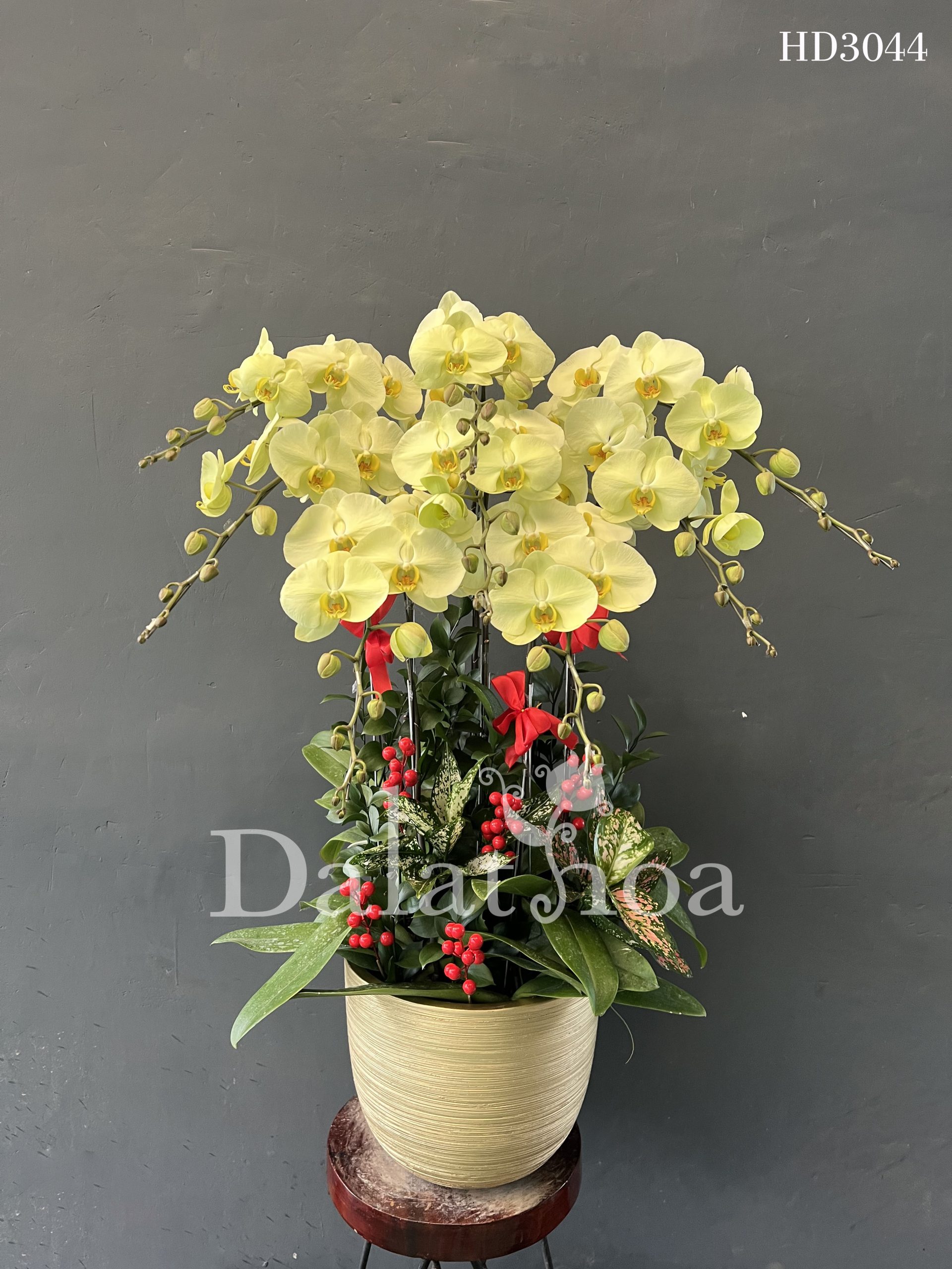 Không Chỉ Ngày 20/10: Hãy Để Mỗi Ngày Đều Là Ngày Yêu Thương Cùng Dalathoa